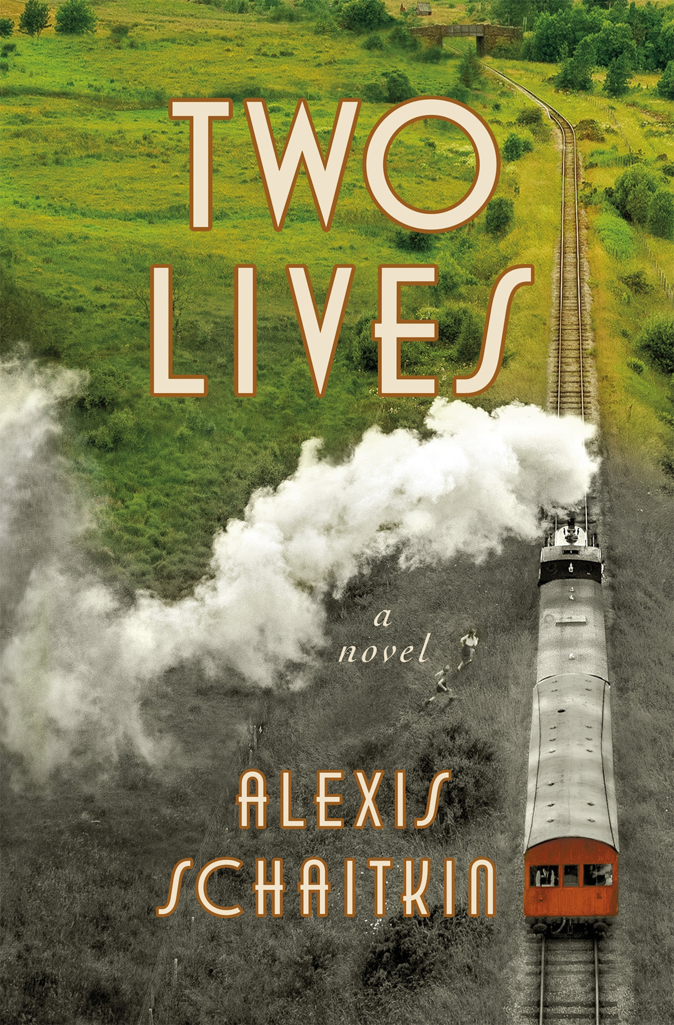 Celadon Books Two Lives: A Novel