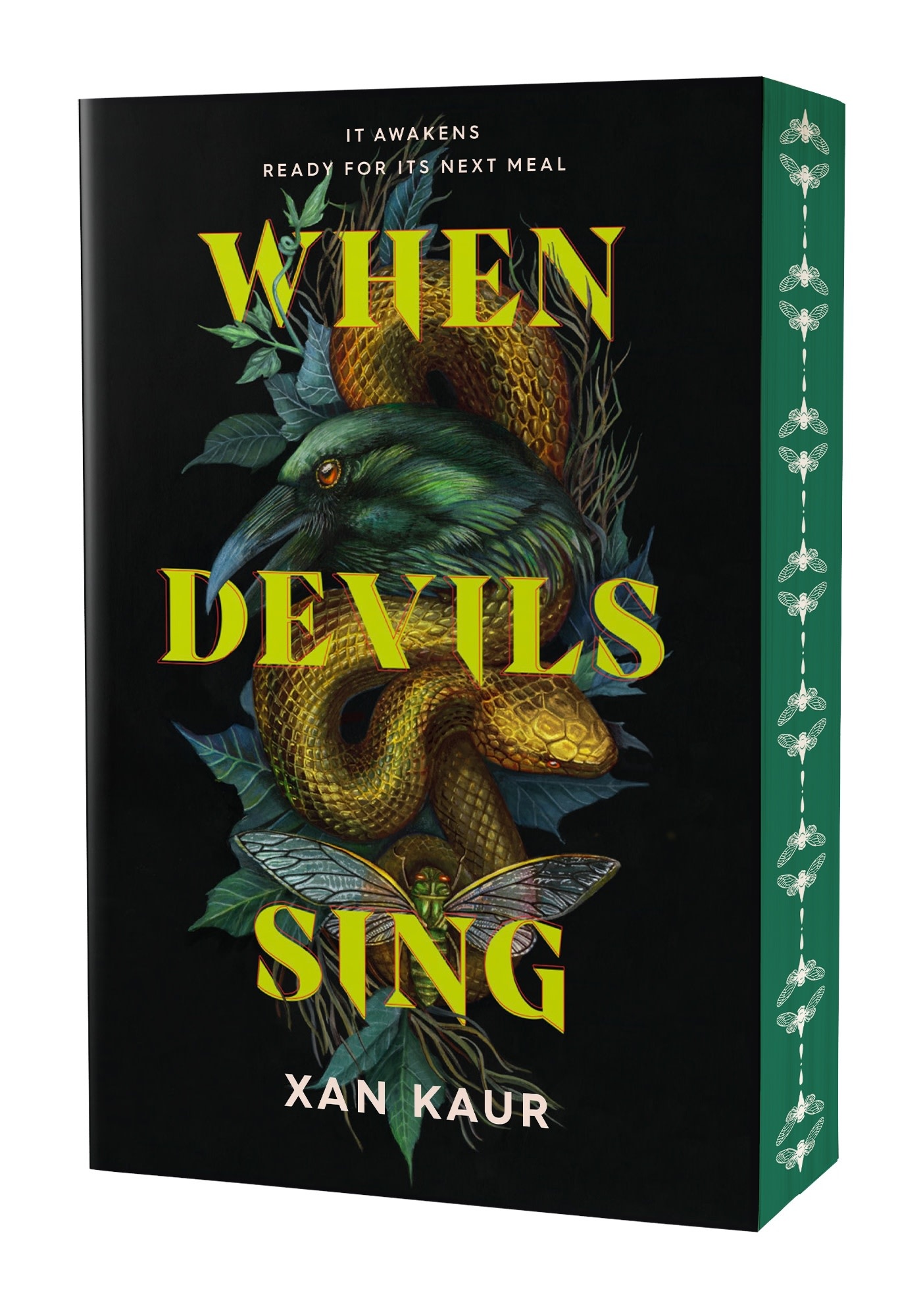 Henry Holt and Co. BYR Paperbacks When Devils Sing