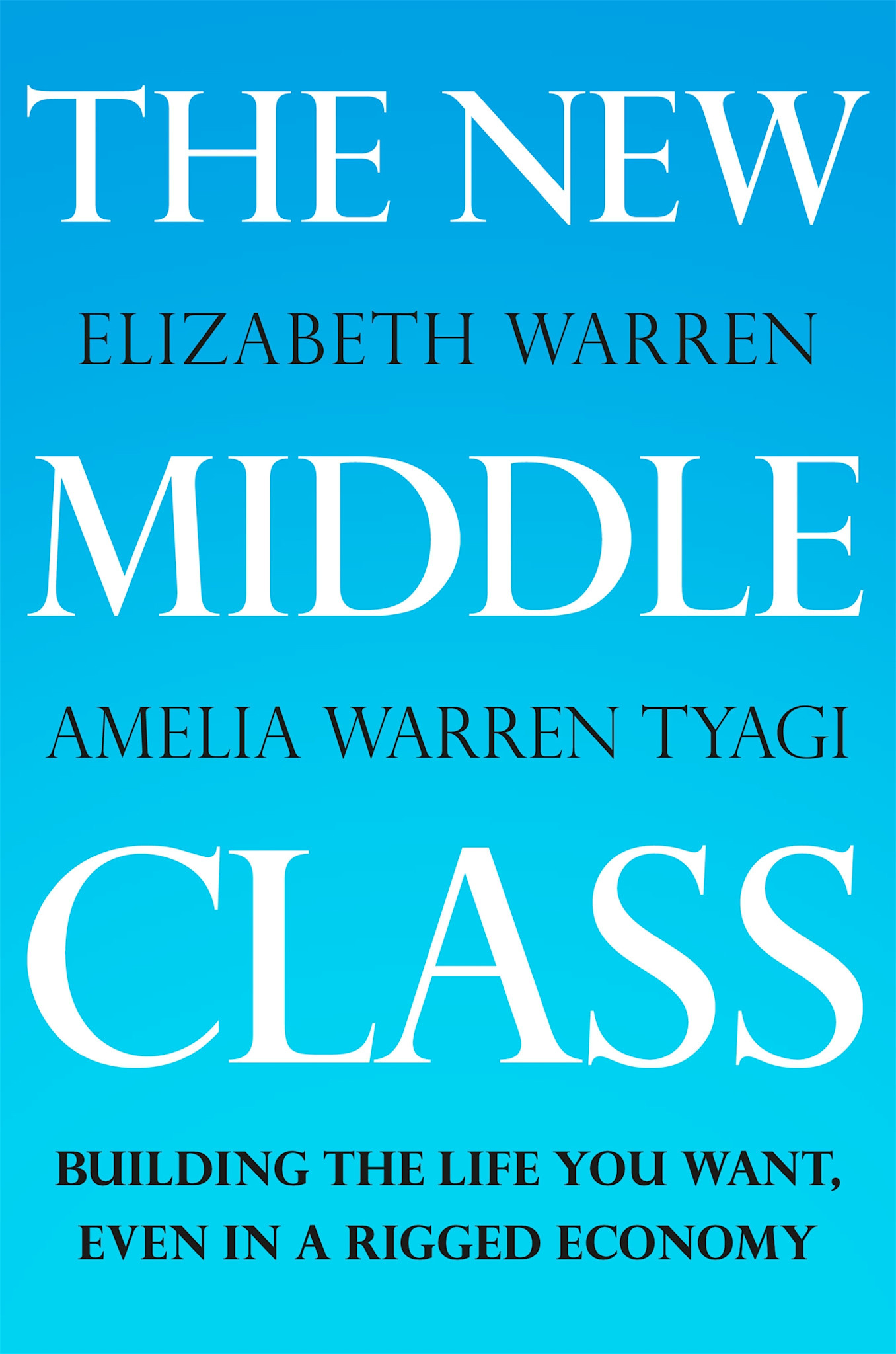 Metropolitan Books The New Middle Class: Building the Life You Want, Even in a Rigged Economy