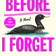 St. Martin's Griffin Before I Forget: A Novel