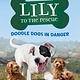 Odd Dot Lily to the Rescue: Doodle Dogs in Danger