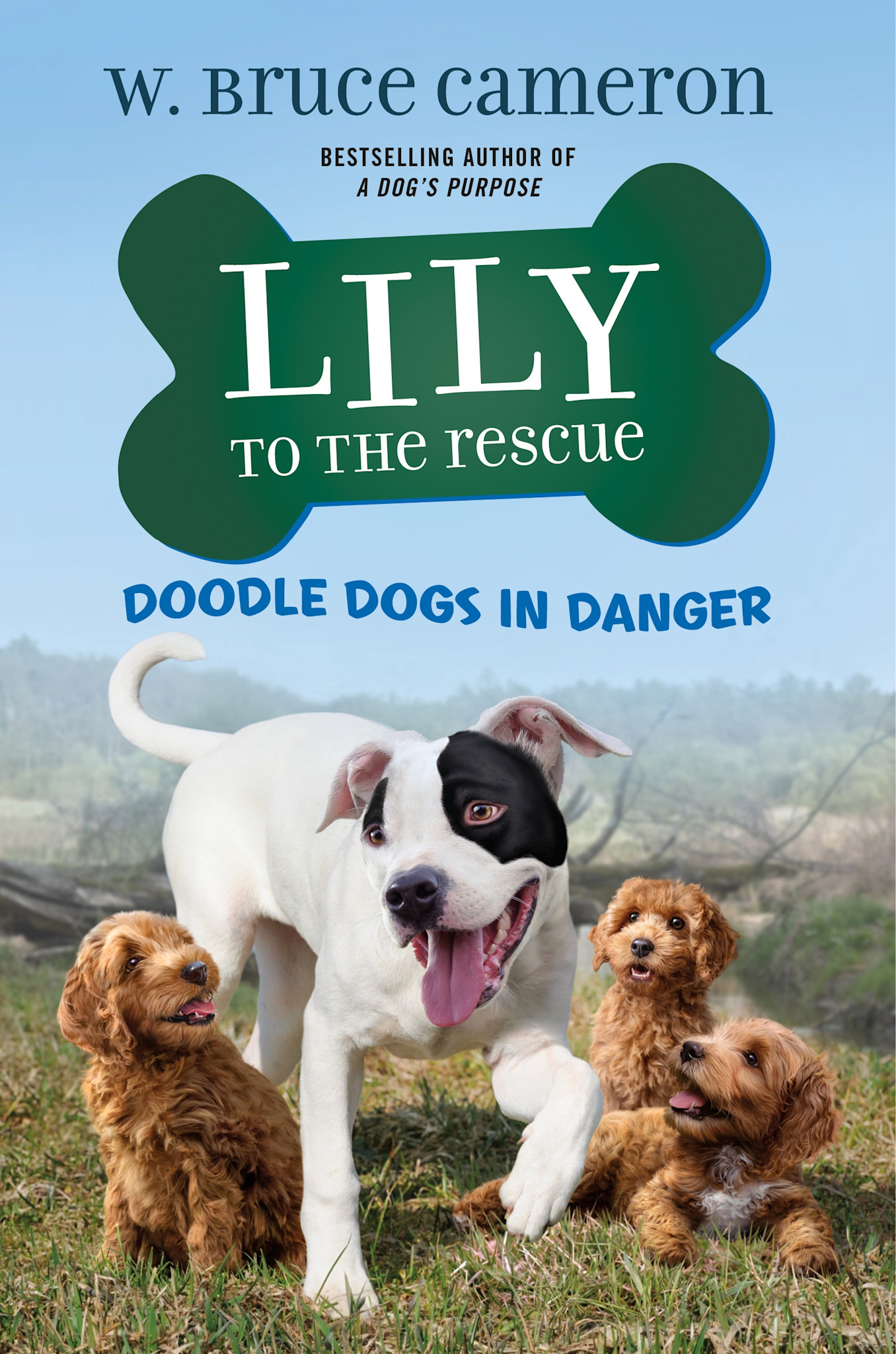 Odd Dot Lily to the Rescue: Doodle Dogs in Danger
