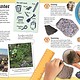 DK Children DK My Book of Rocks and Minerals: Things to Find, Collect, and Treasure