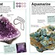 DK Children DK My Book of Rocks and Minerals: Things to Find, Collect, and Treasure