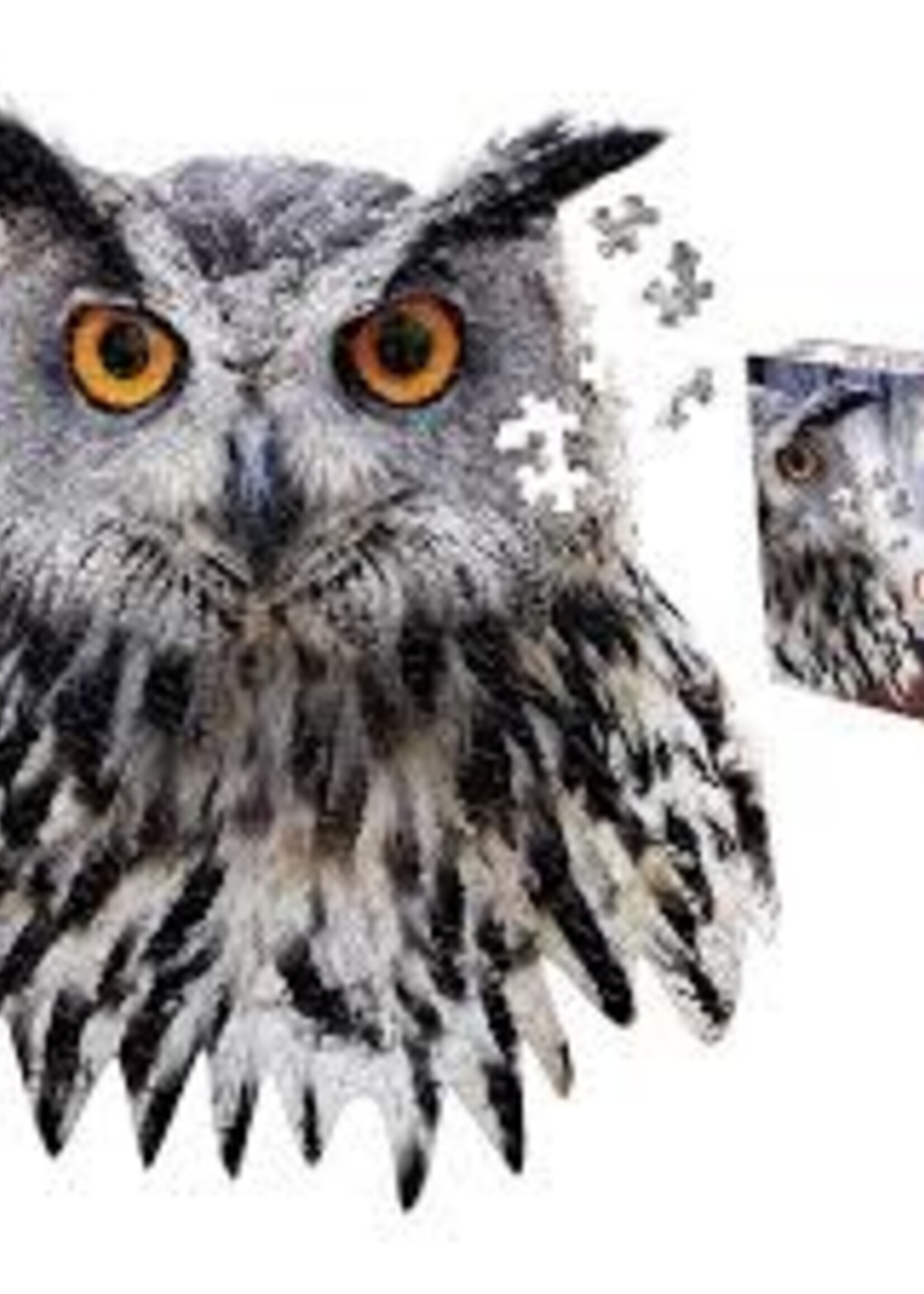 Puzzle - I Am Owl - 300 Pc.