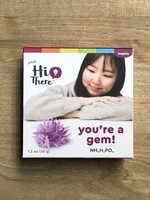 Hi There - You’re a Gem!