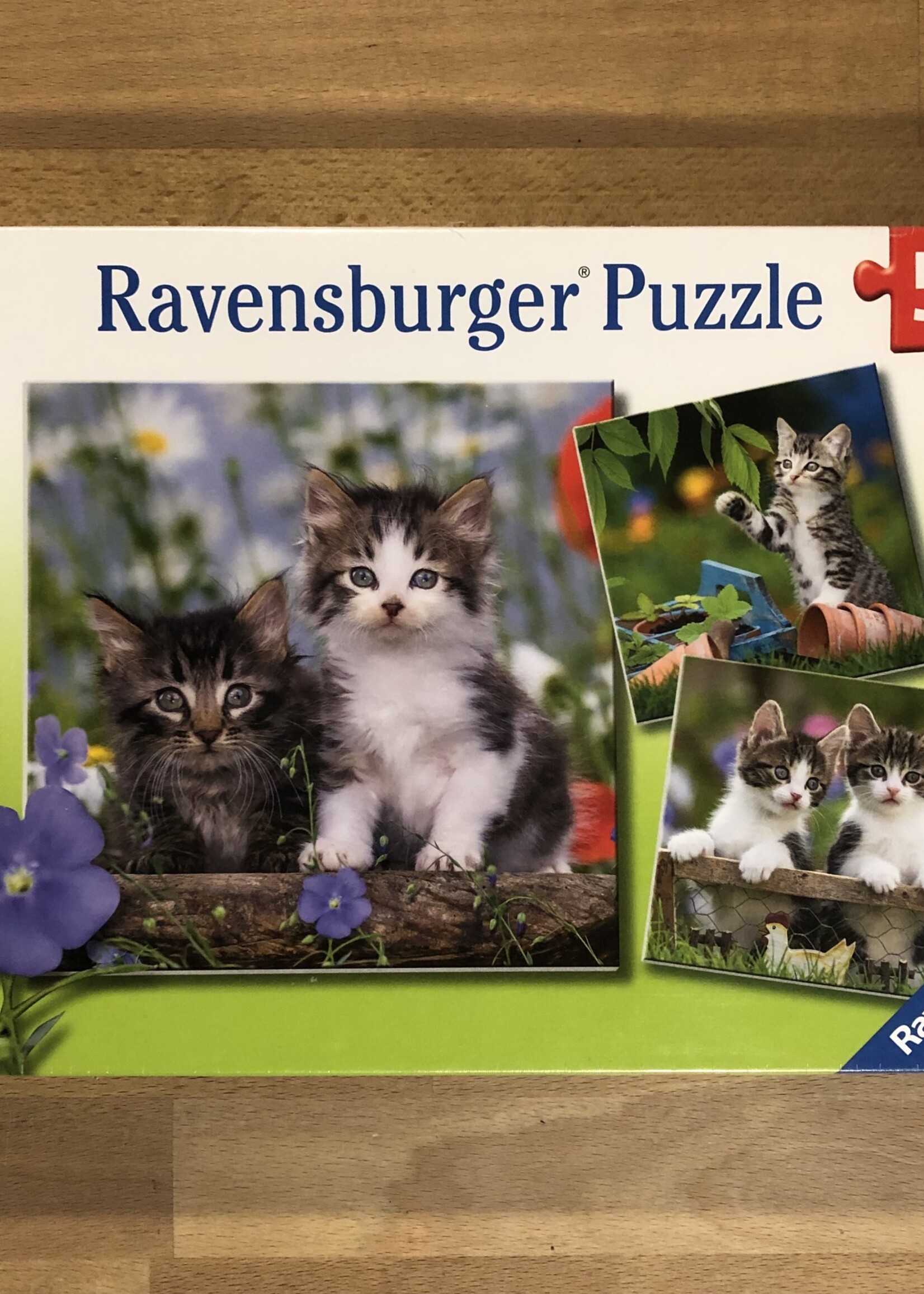 Puzzle - Tiger Kittens 3 x 49 Pc.