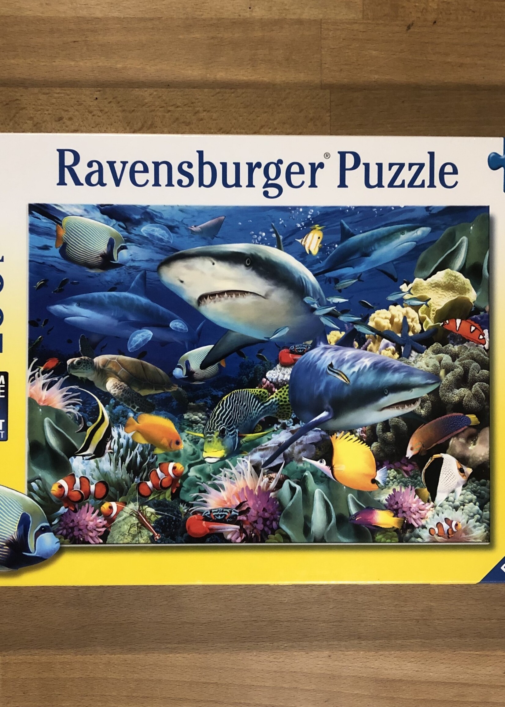Puzzle - Shark Reef 100 Pc.