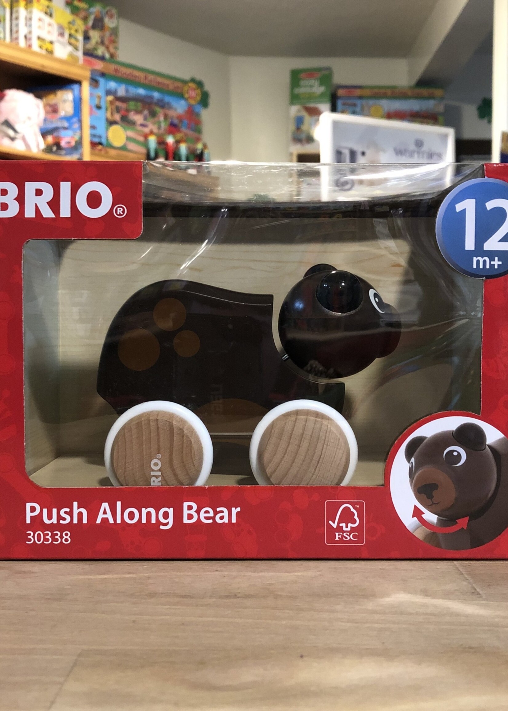 Push Along Bear