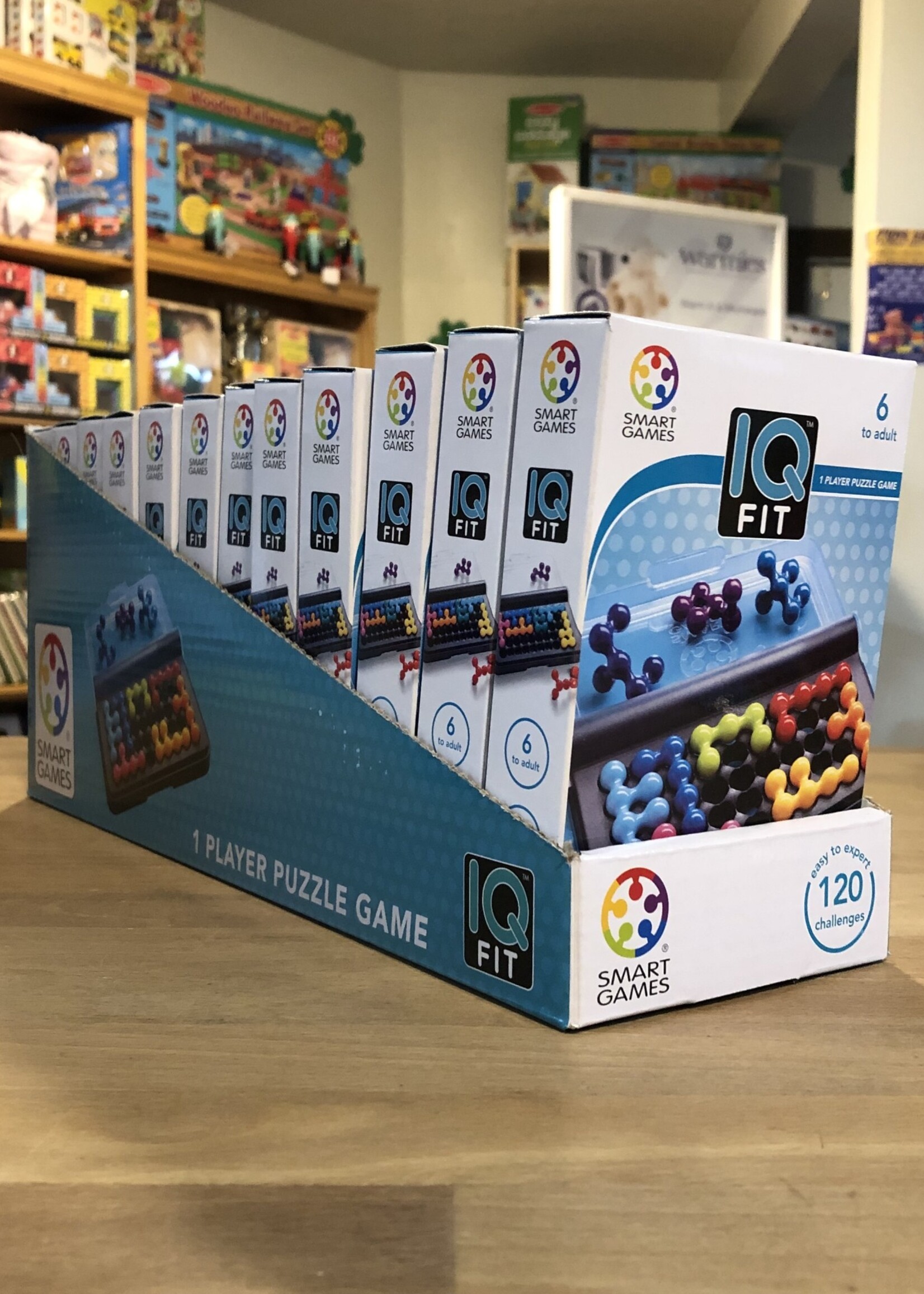 Puzzle Game - IQ Fit