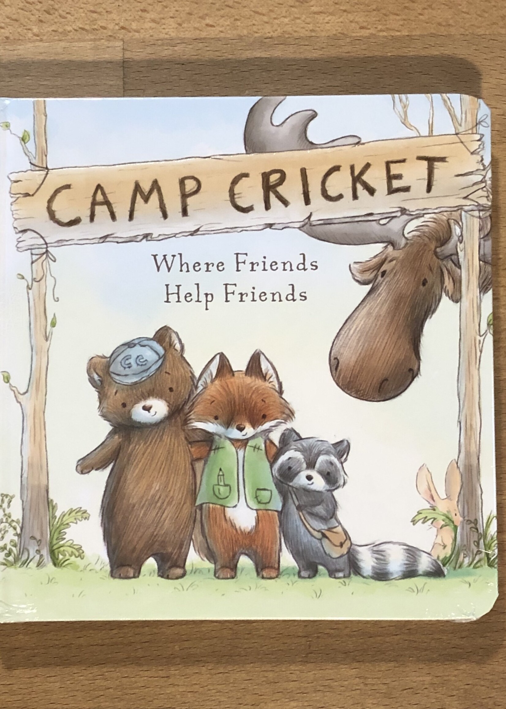 Book - Camp Cricket