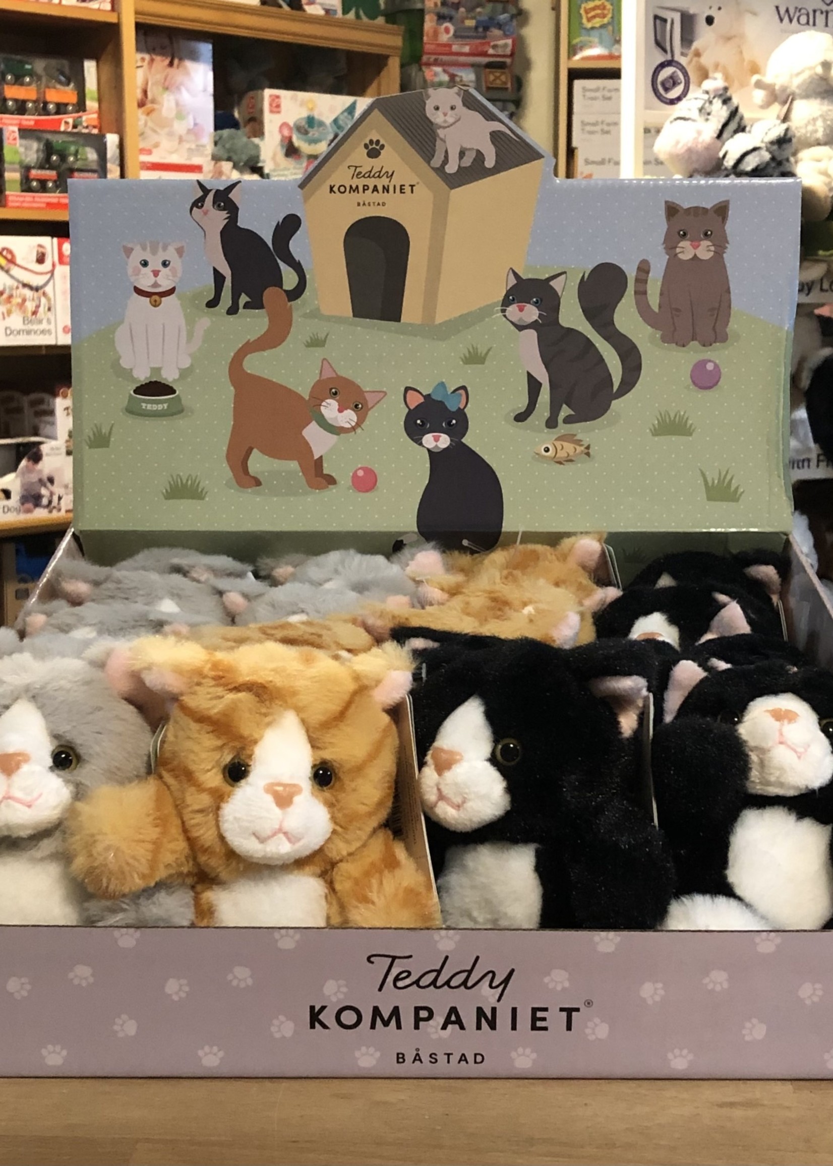 Teddy Komaniet Stuffy - Teddy Cat