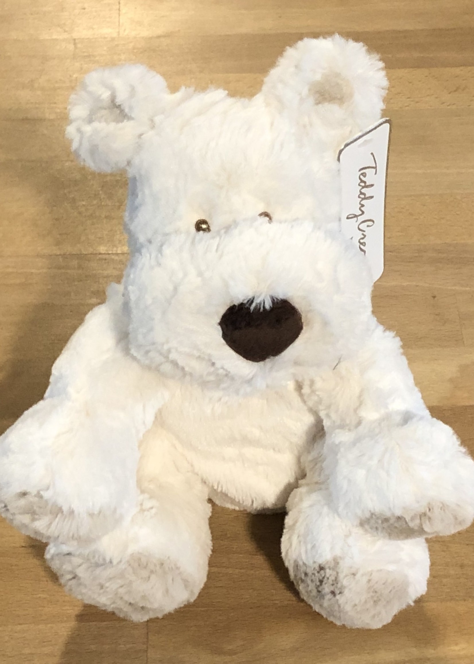 Teddy Komaniet White Teddy Cream Dog (Medium)