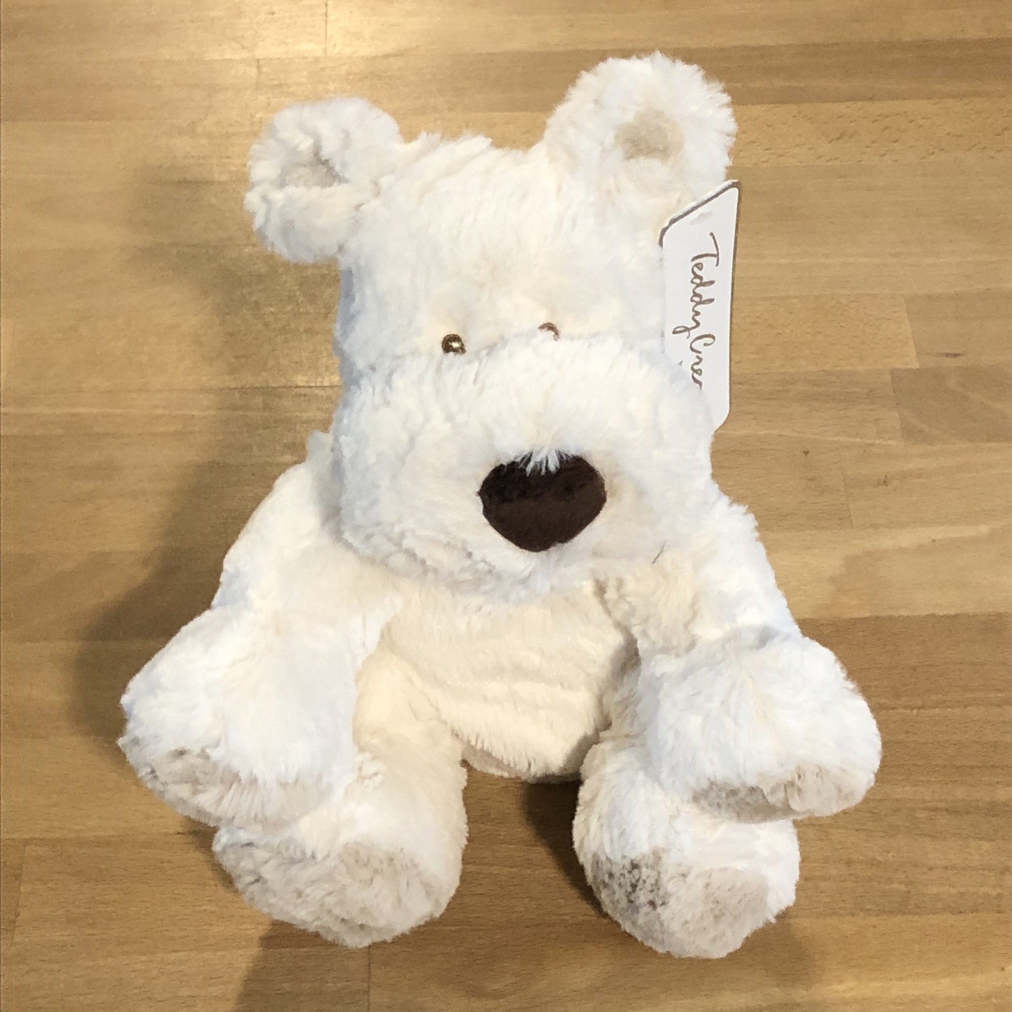 White Teddy Cream Dog (Medium)