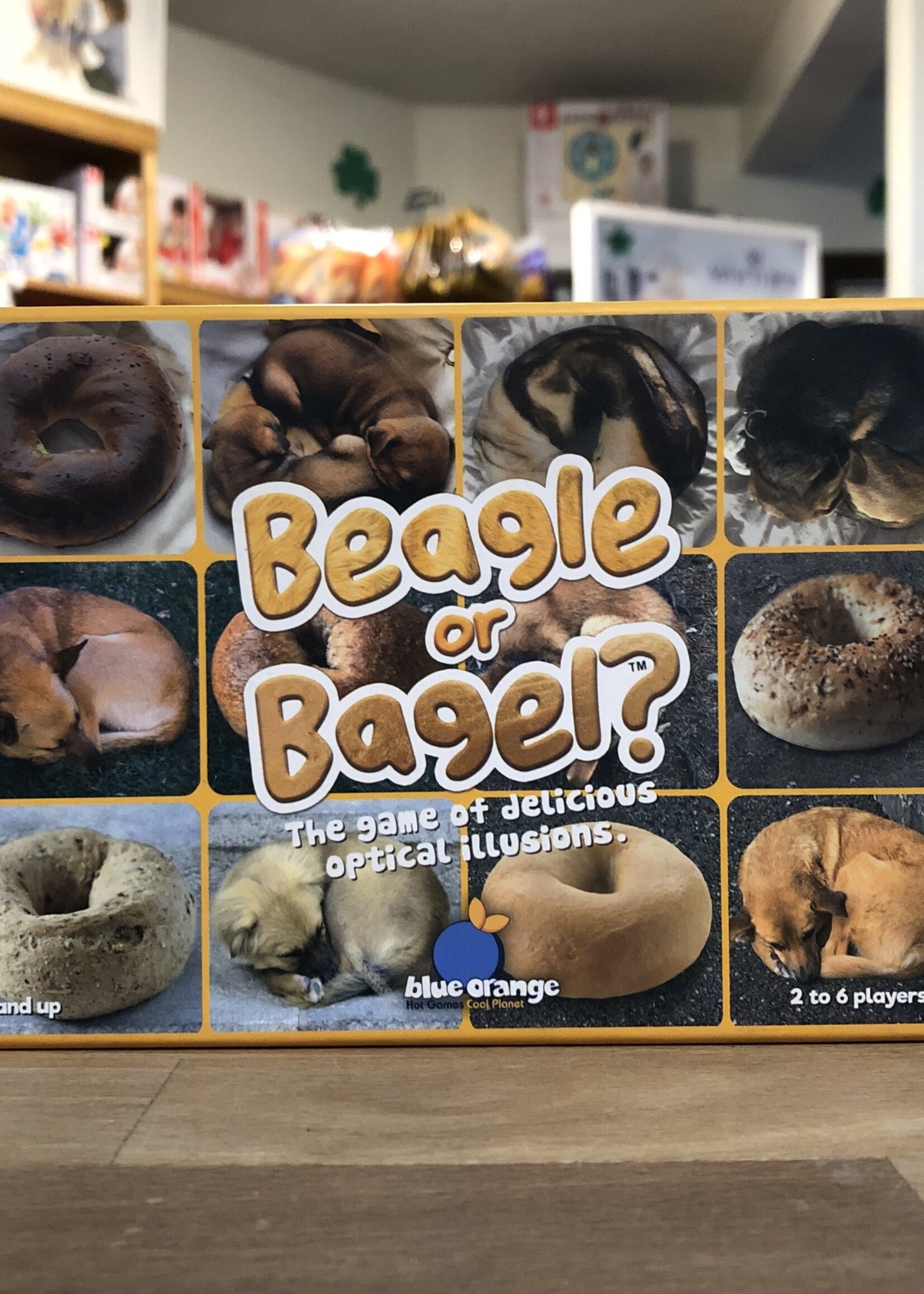 Blue Orange Games Card Game - Beagle or Bagel?