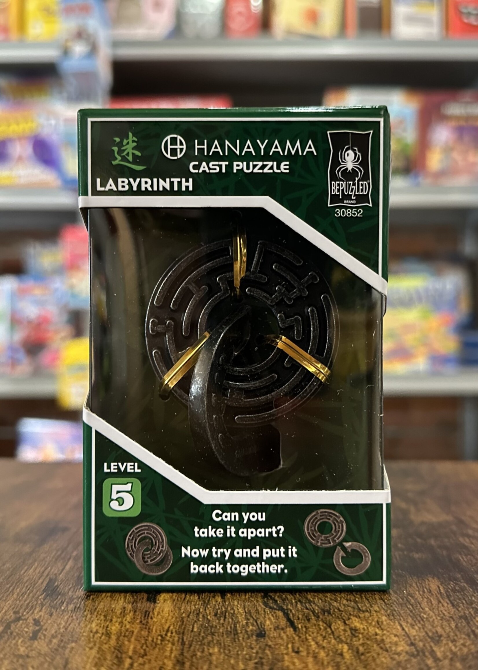 Hanayama Puzzle - Metal Labyrinth (Level 5)