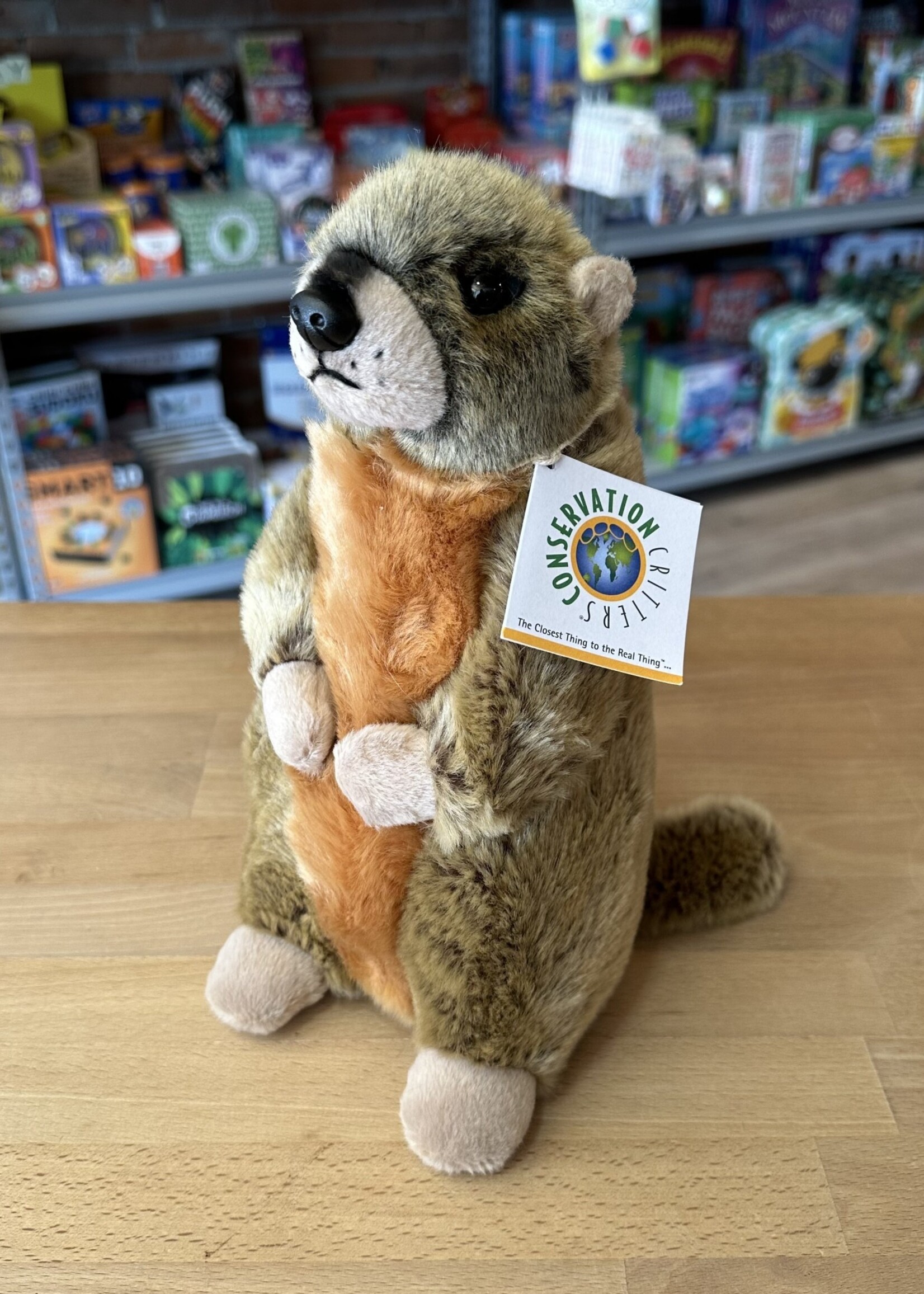Conservation Critters Stuffy - Yellow-Bellied Marmot