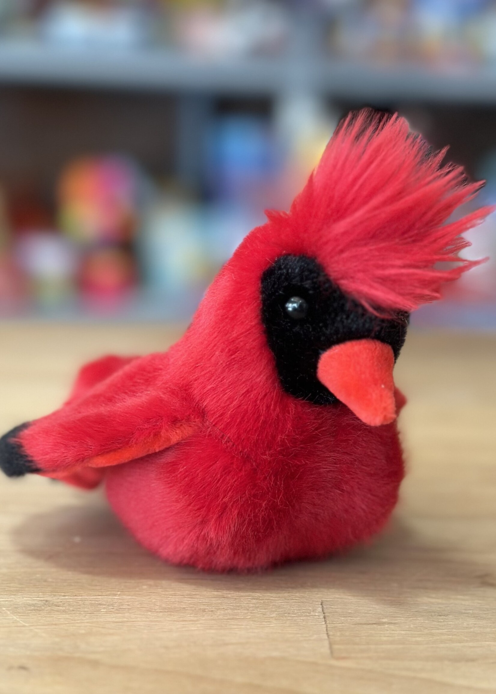 Douglas Stuffy - Carmine Cardinal