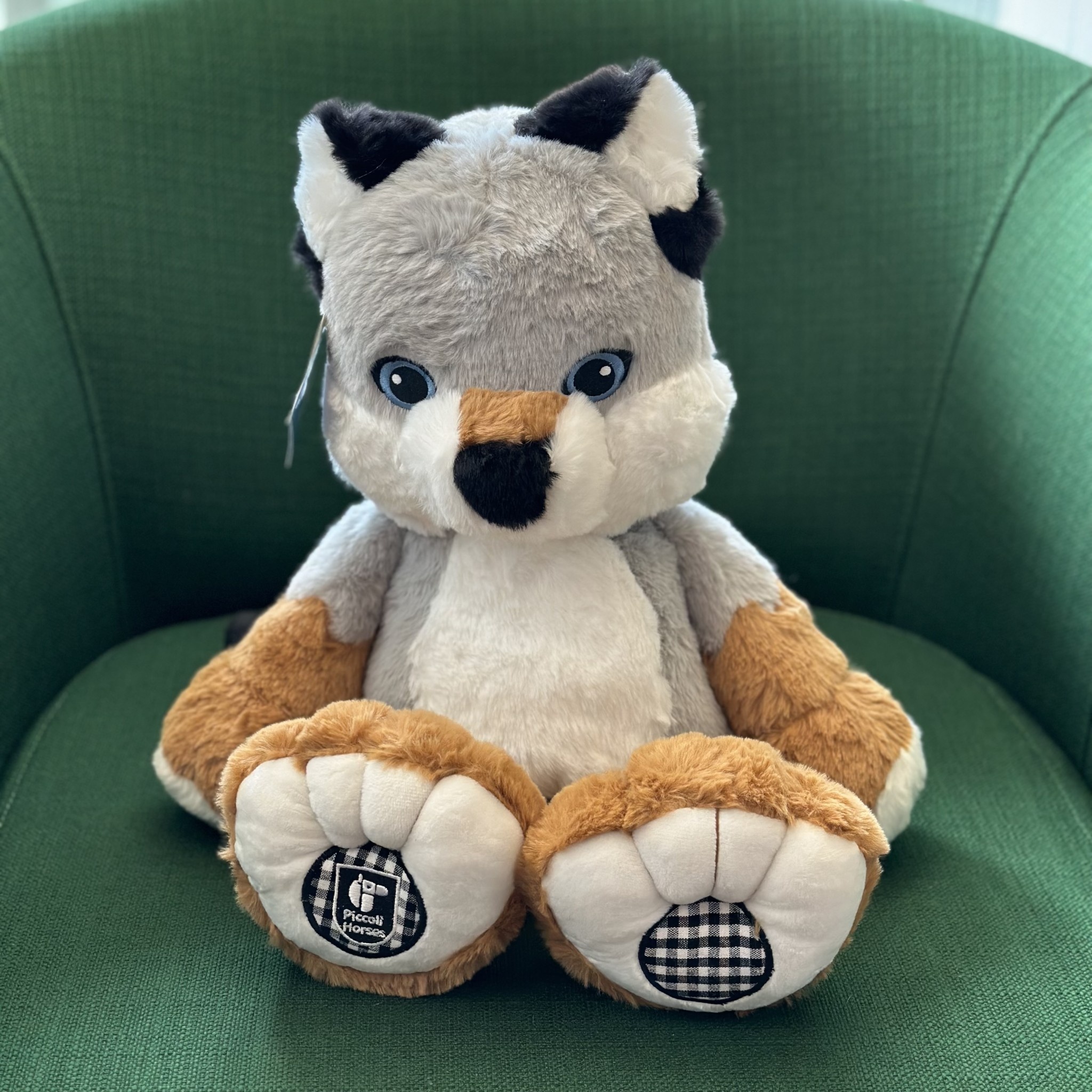 Stuffy - Fred Fox