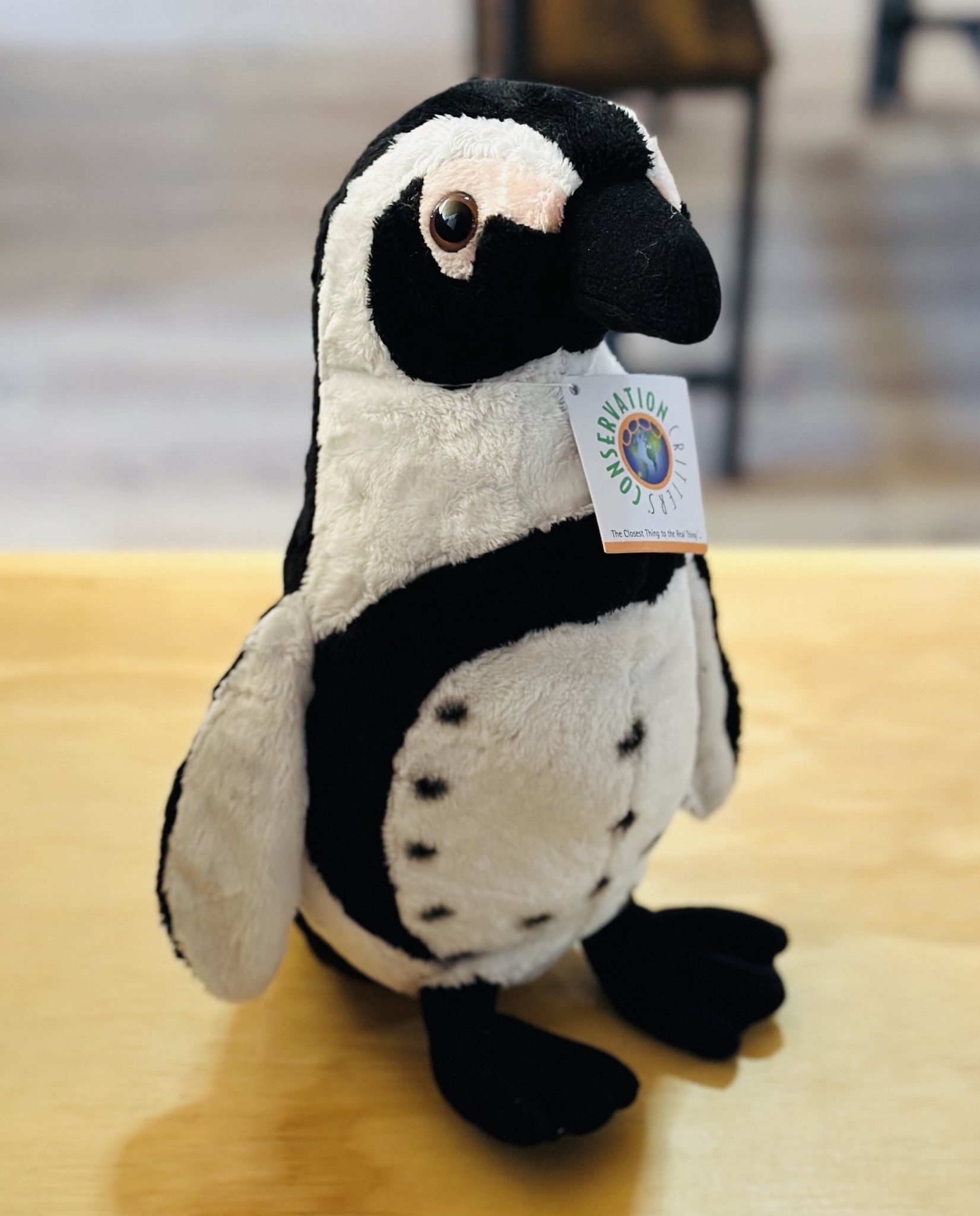 Plush - Black-Footed Penguin 11.5 in.