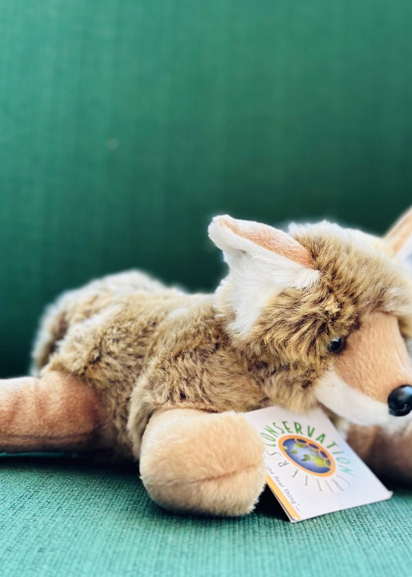 Plush - Coyote Pup 8 In.