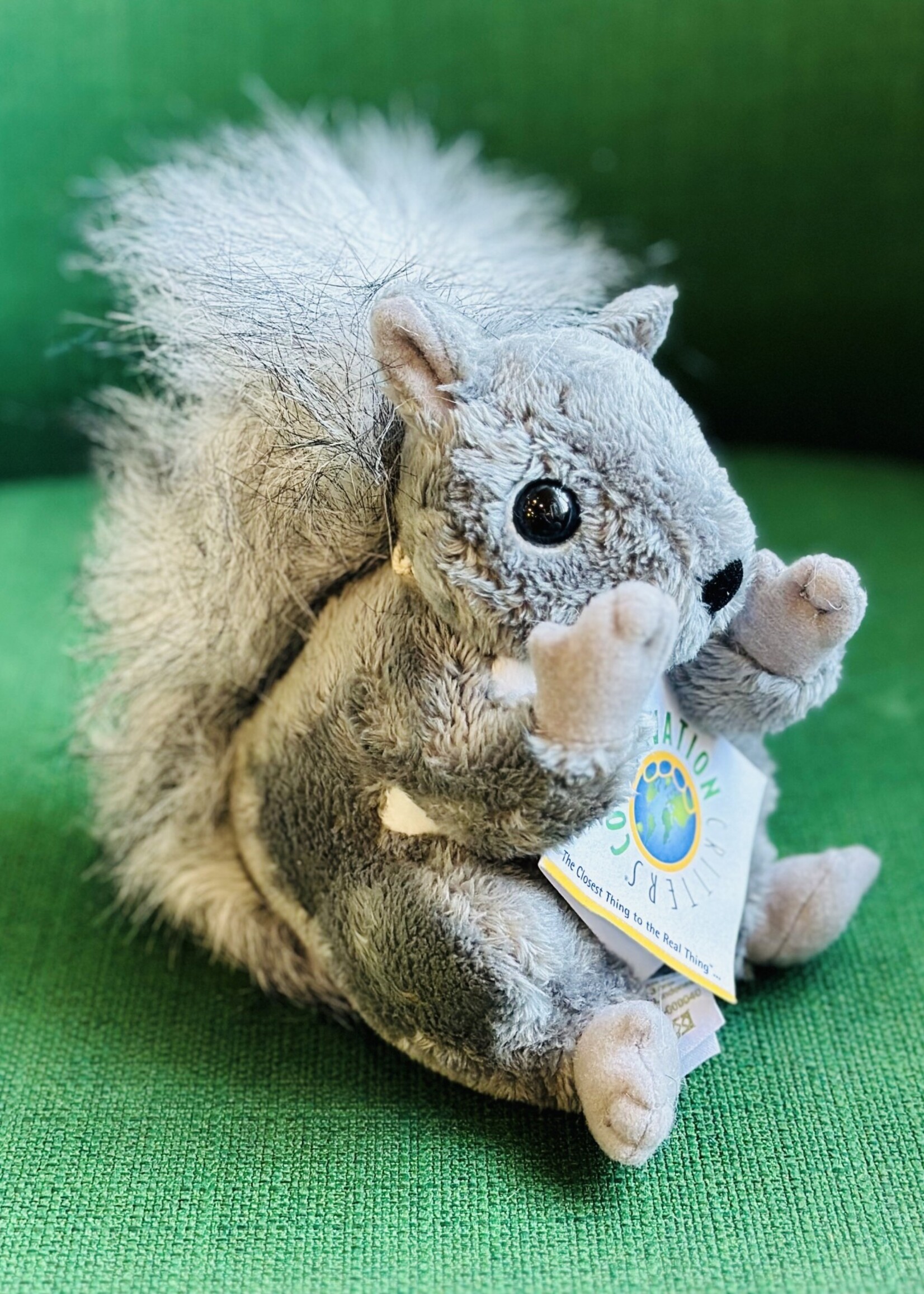 Plush - Squirrel 6 In.