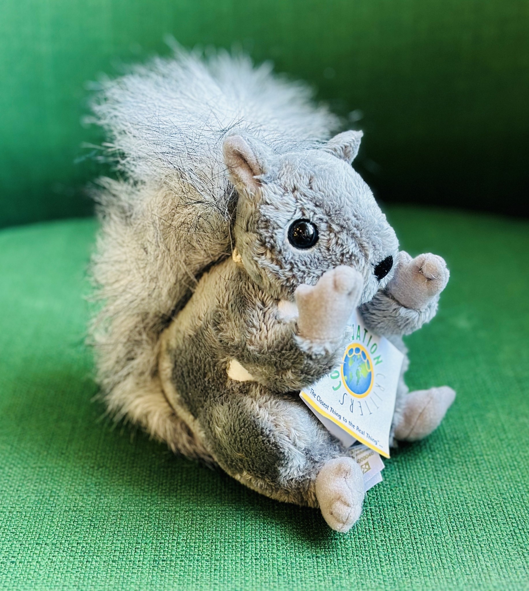 Plush - Squirrel 6 In.