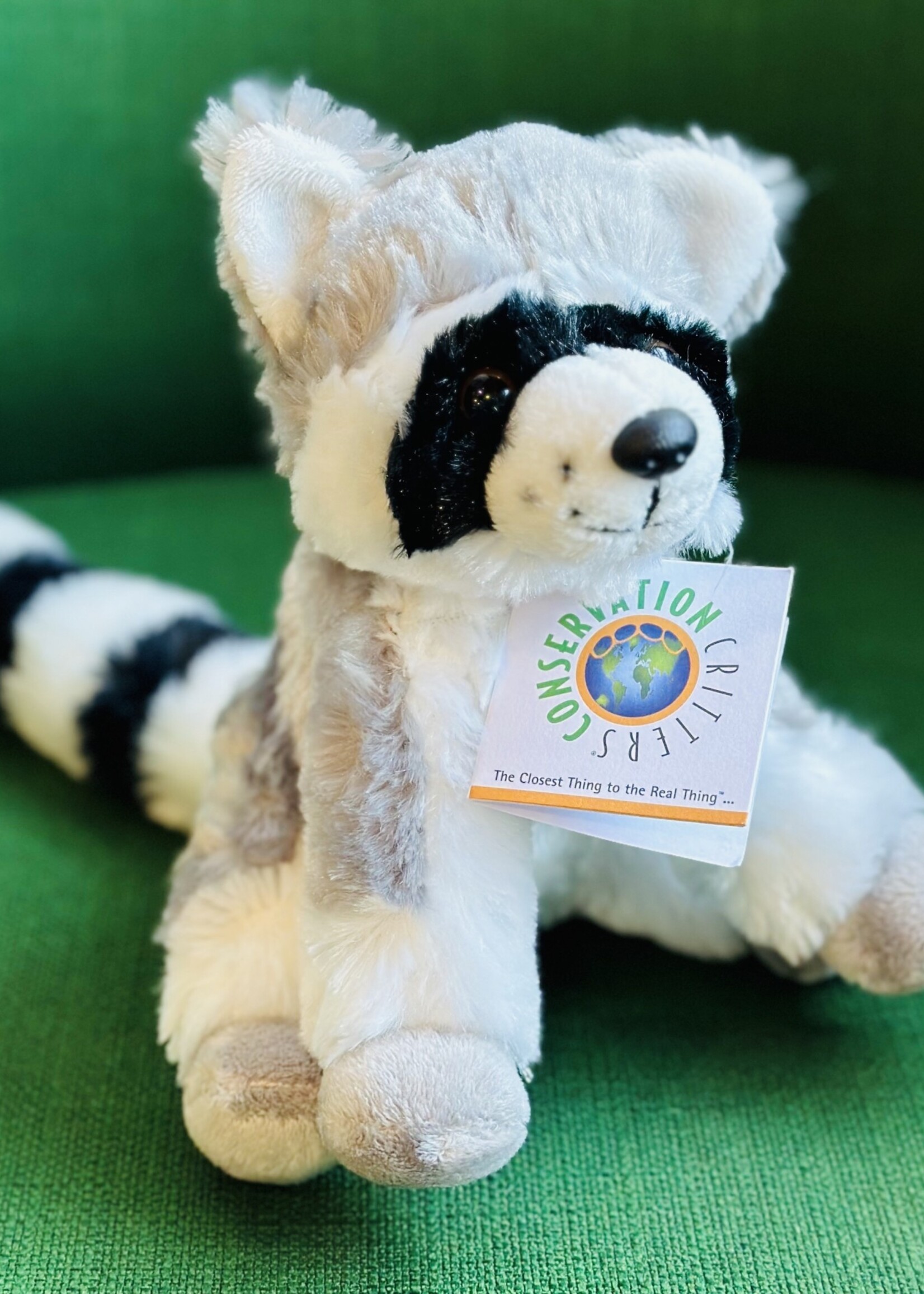 Nature Planet Plush - Raccoon 8 In.