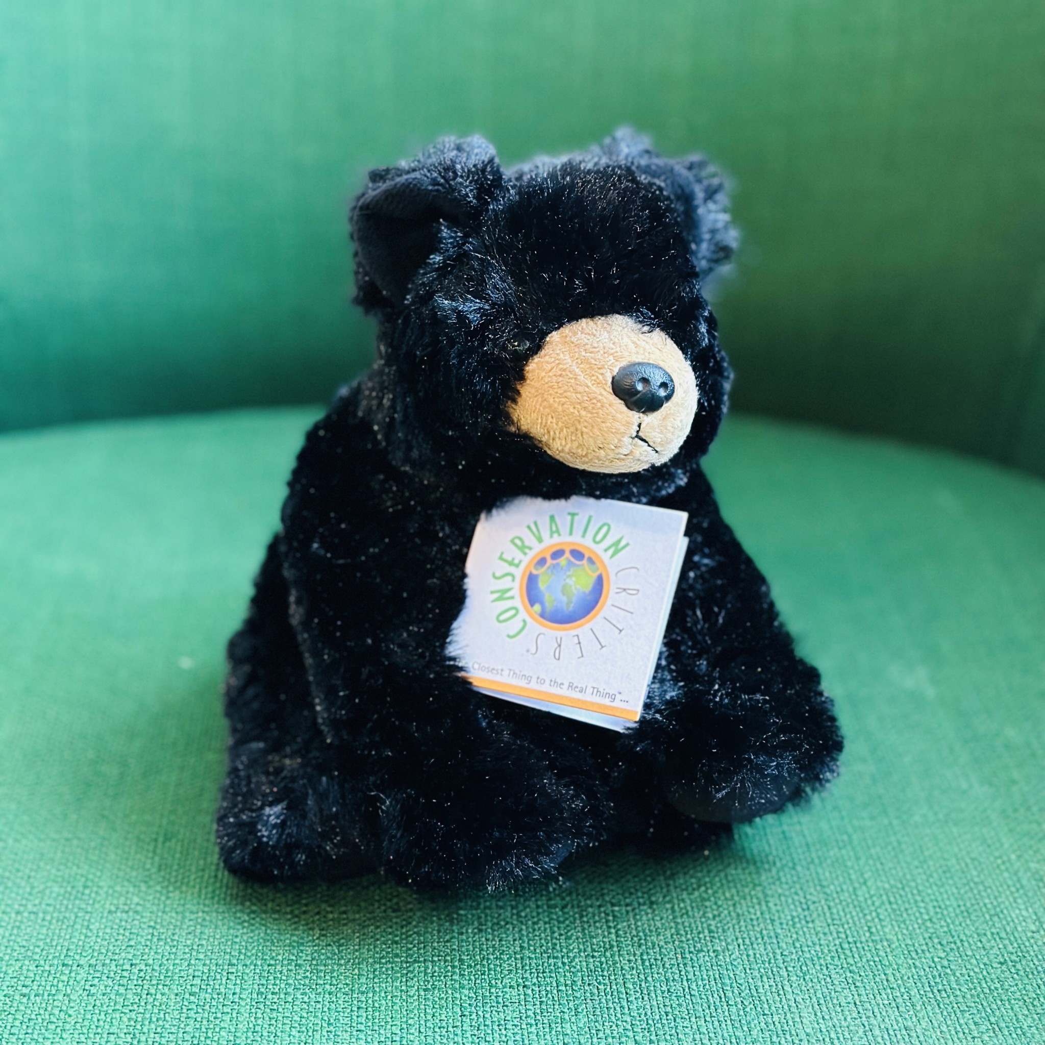 Plush - Black Bear 9 In.
