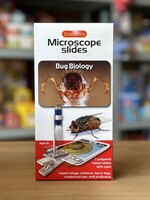 Microscope Slides - Bug Biology