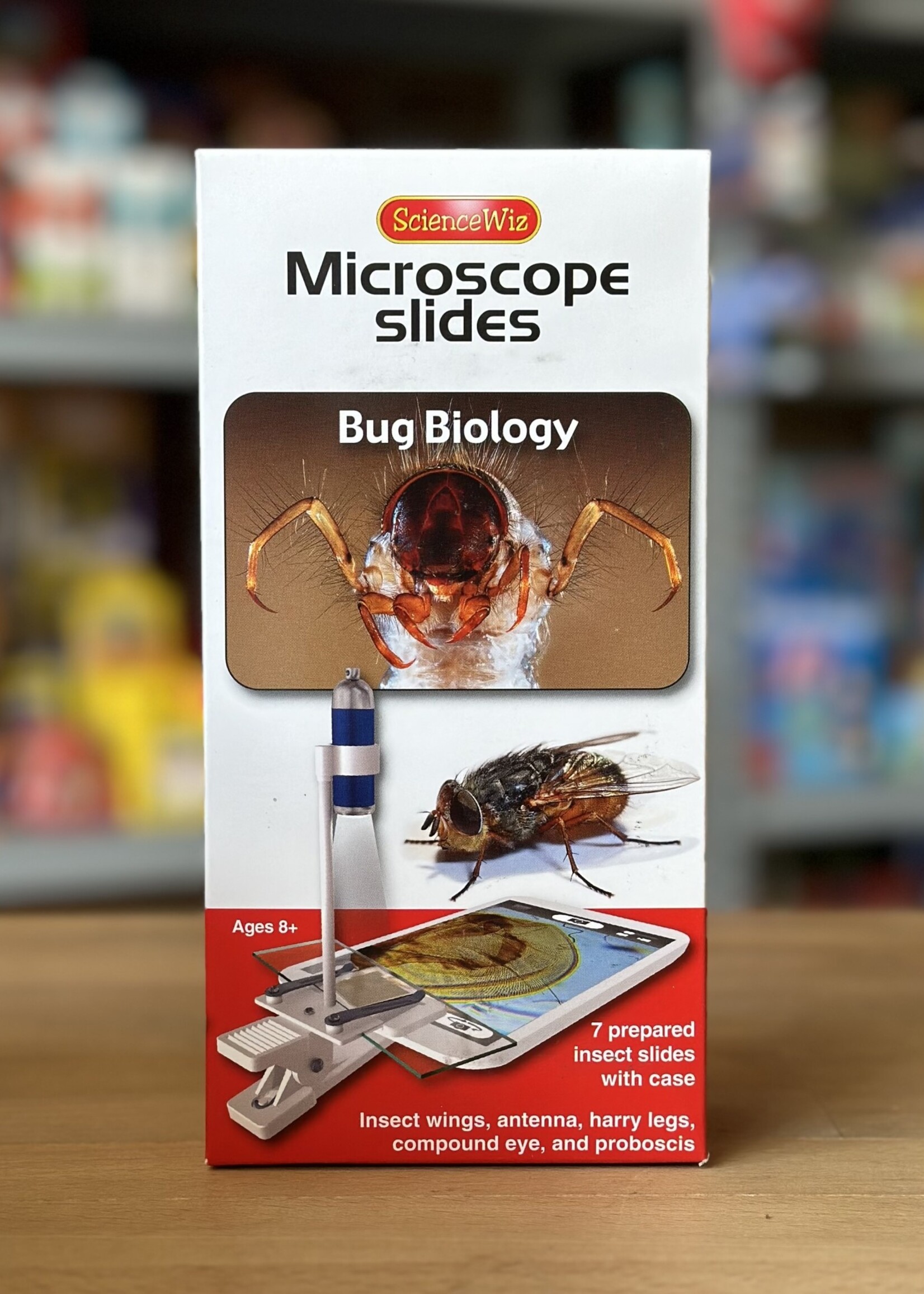 Microscope Slides - Bug Biology