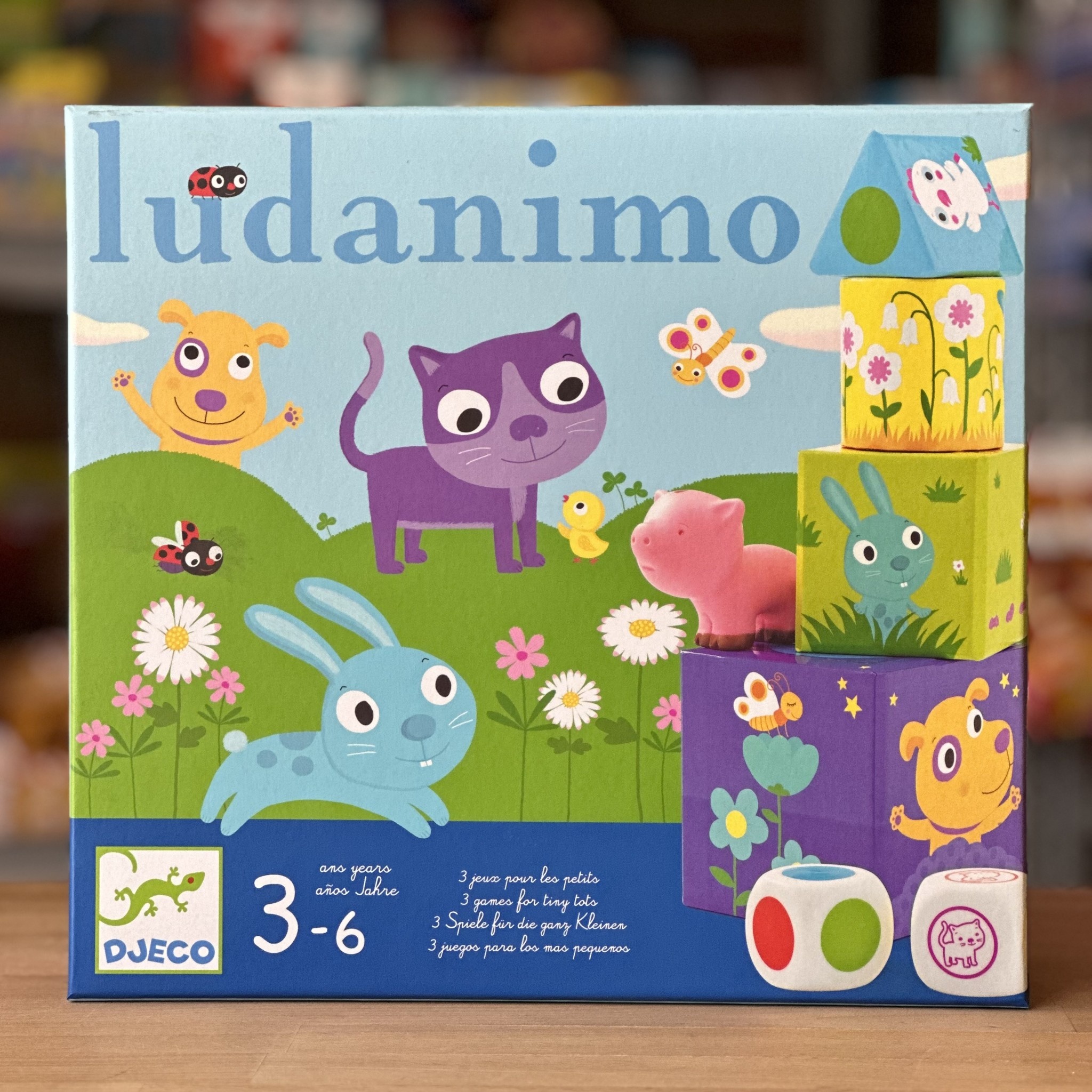 Game - Ludanimo
