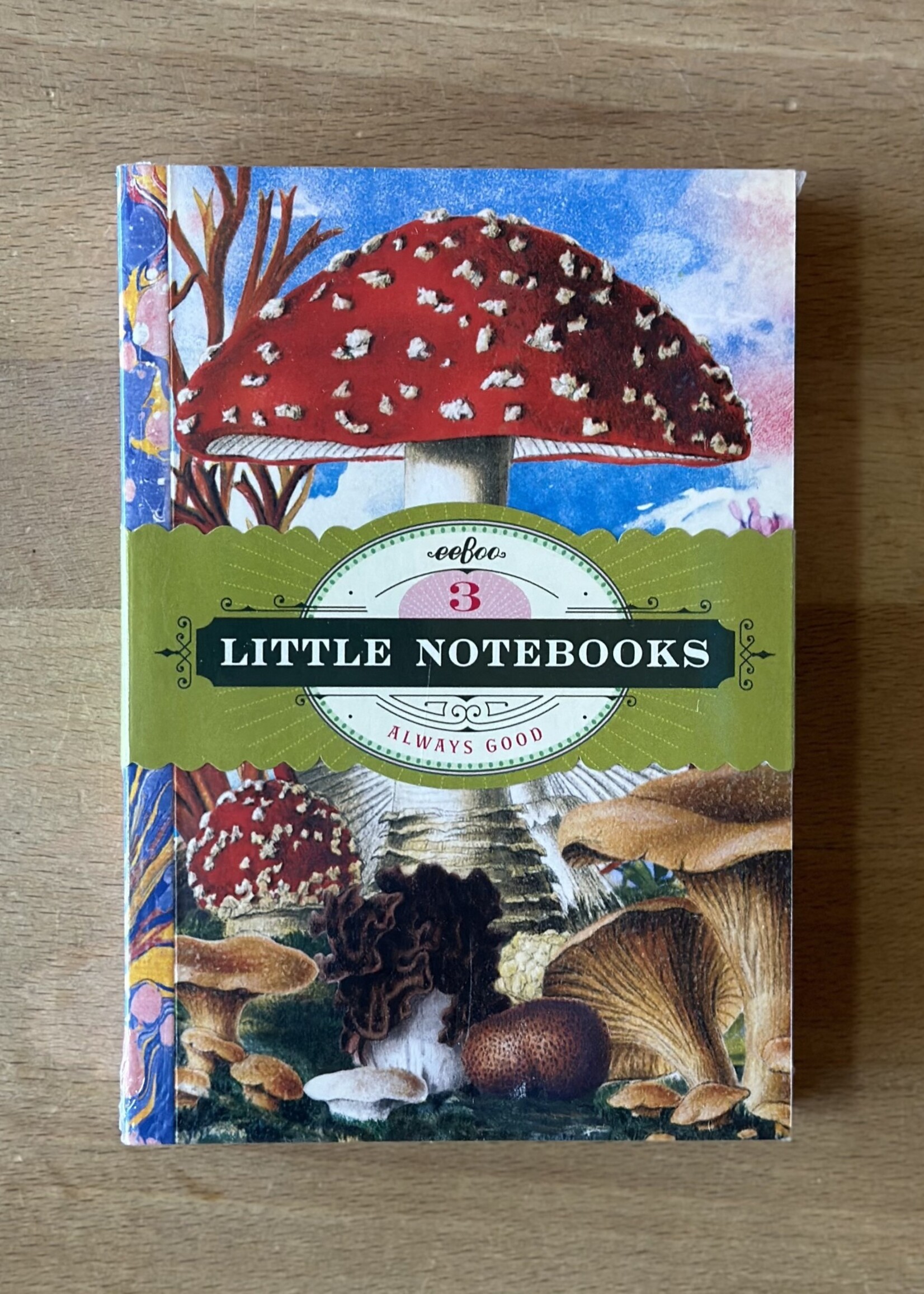 eeBoo Fumiha’s Little Book - 3 Notebooks