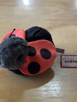 Douglas Stuffy - Bert Ladybug