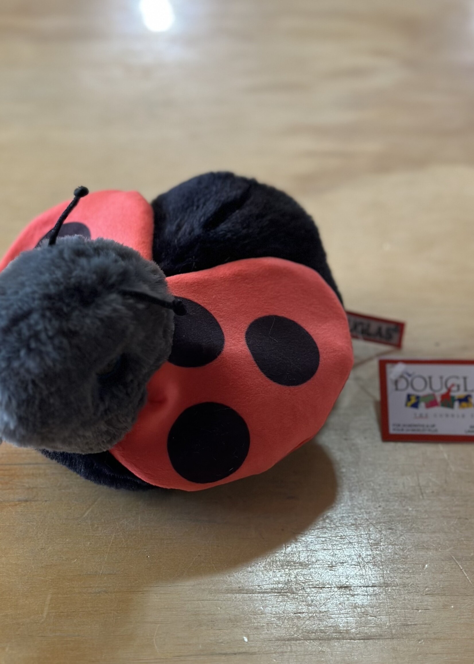 Douglas Stuffy - Bert Ladybug