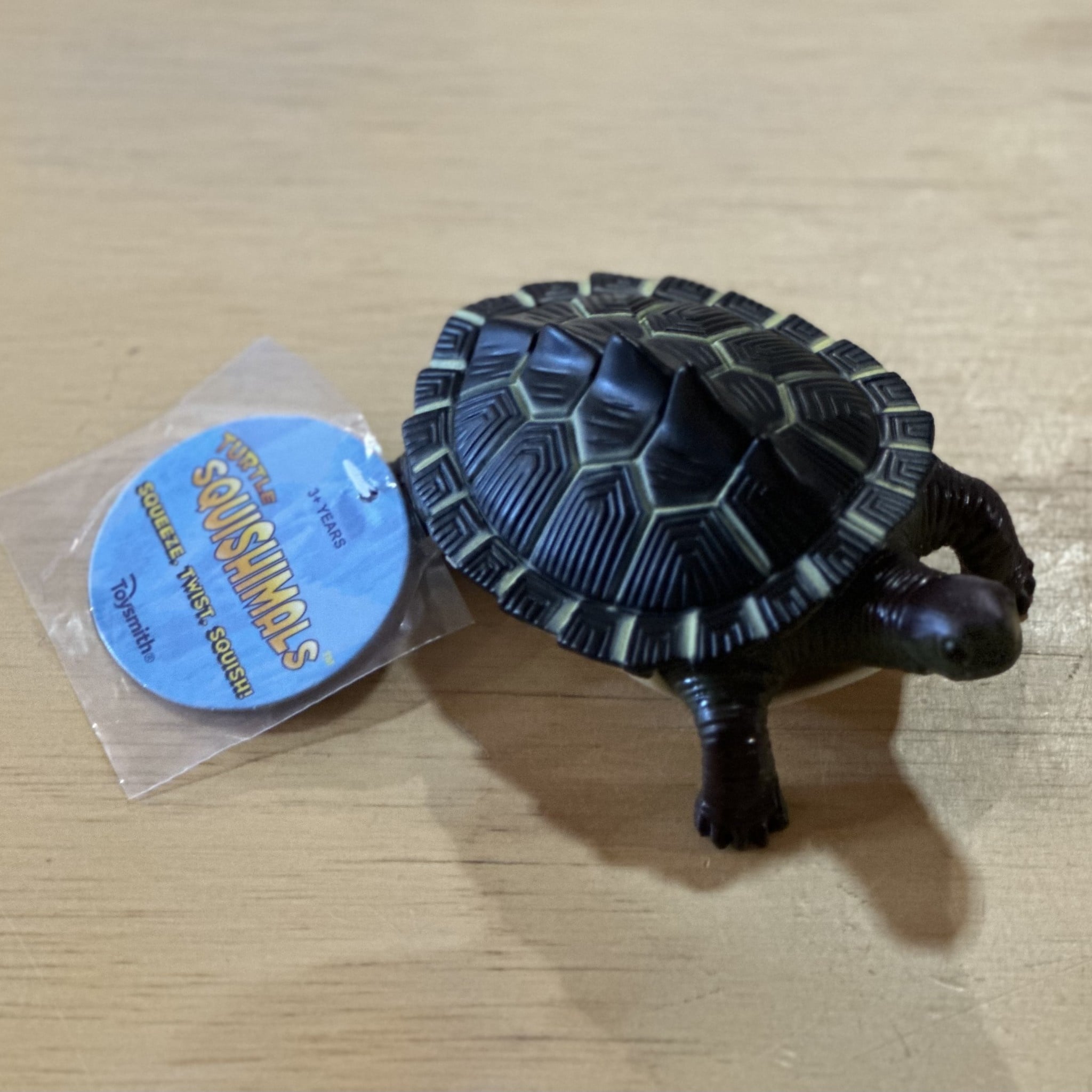 Turtle Squishimal