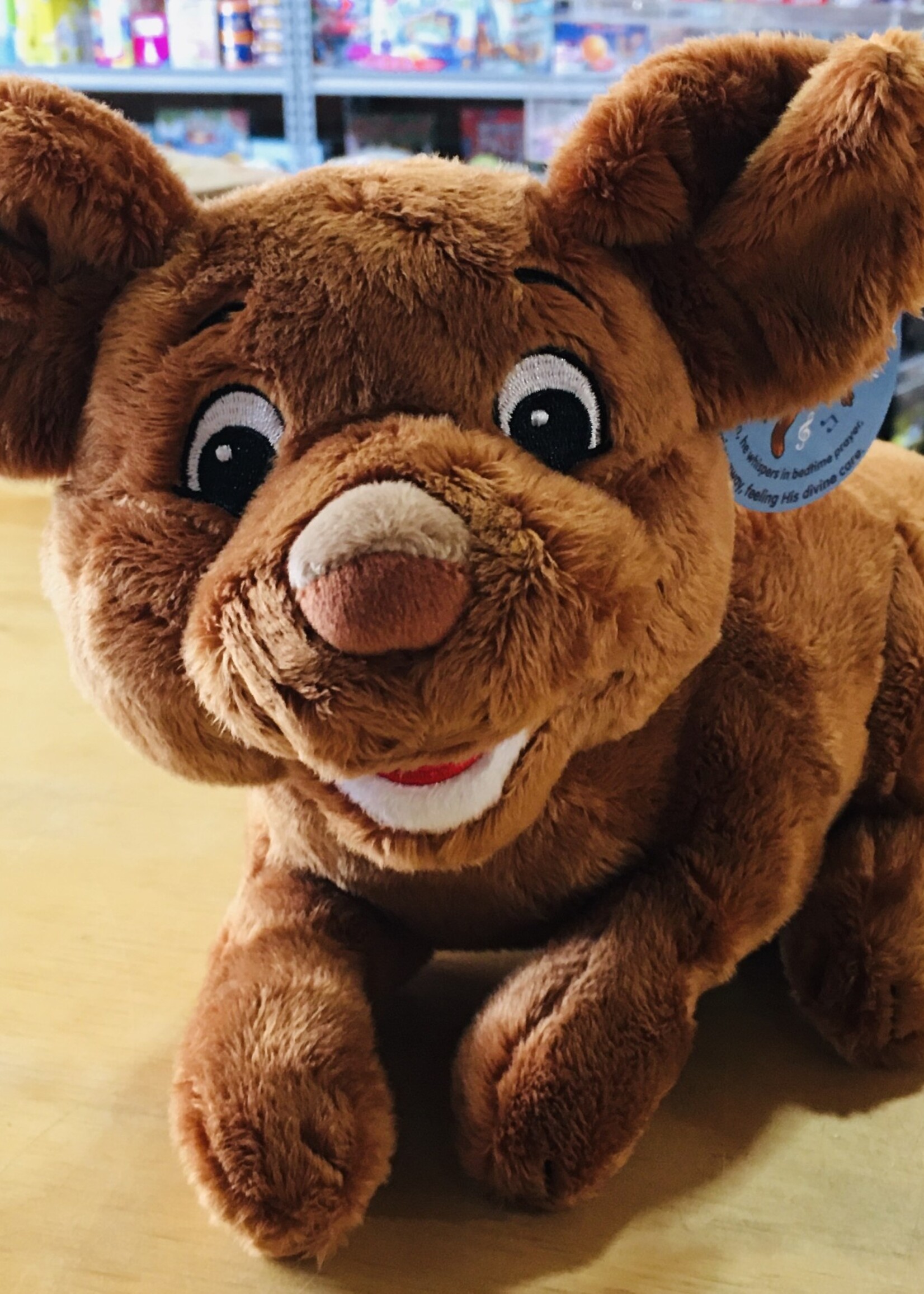 Stuffy - All About Dexter the Dog