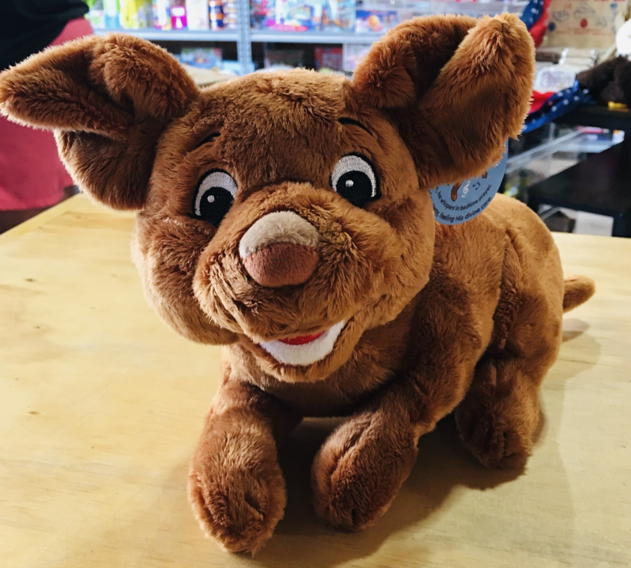 Stuffy - All About Dexter the Dog