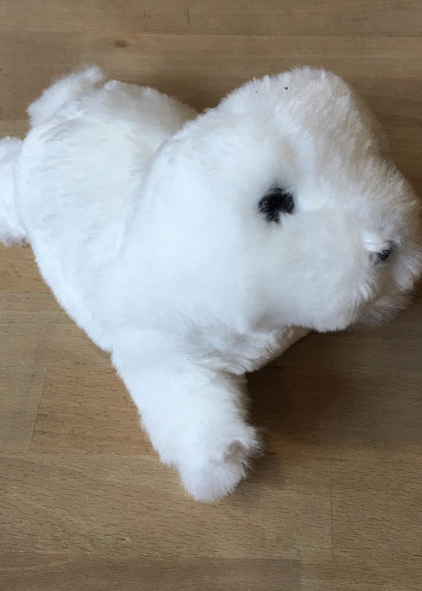 Douglas Stuffy - Sprinkles White Seal