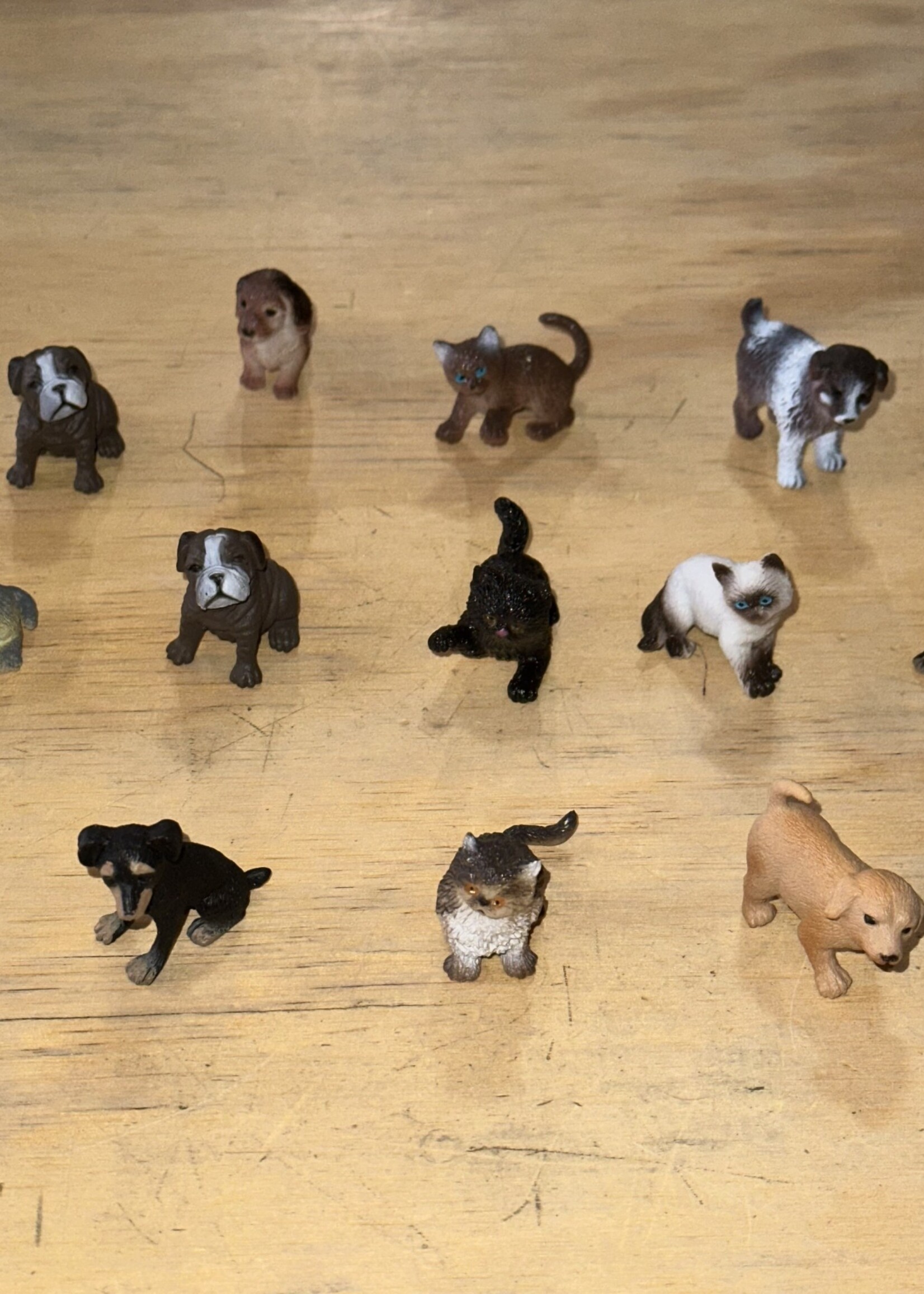Toysmith Puppies and Kittens