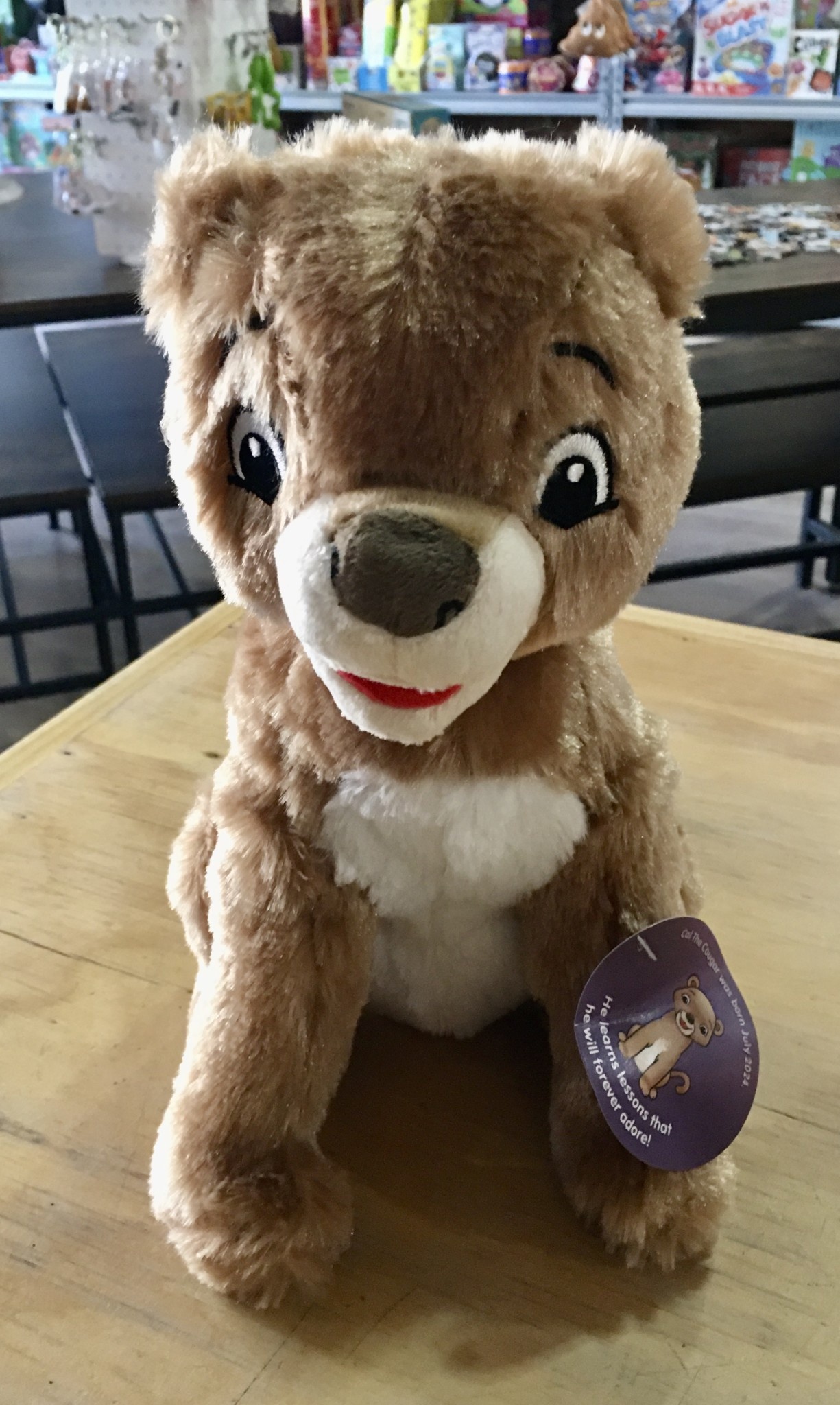 Stuffy - Cal the Cougar