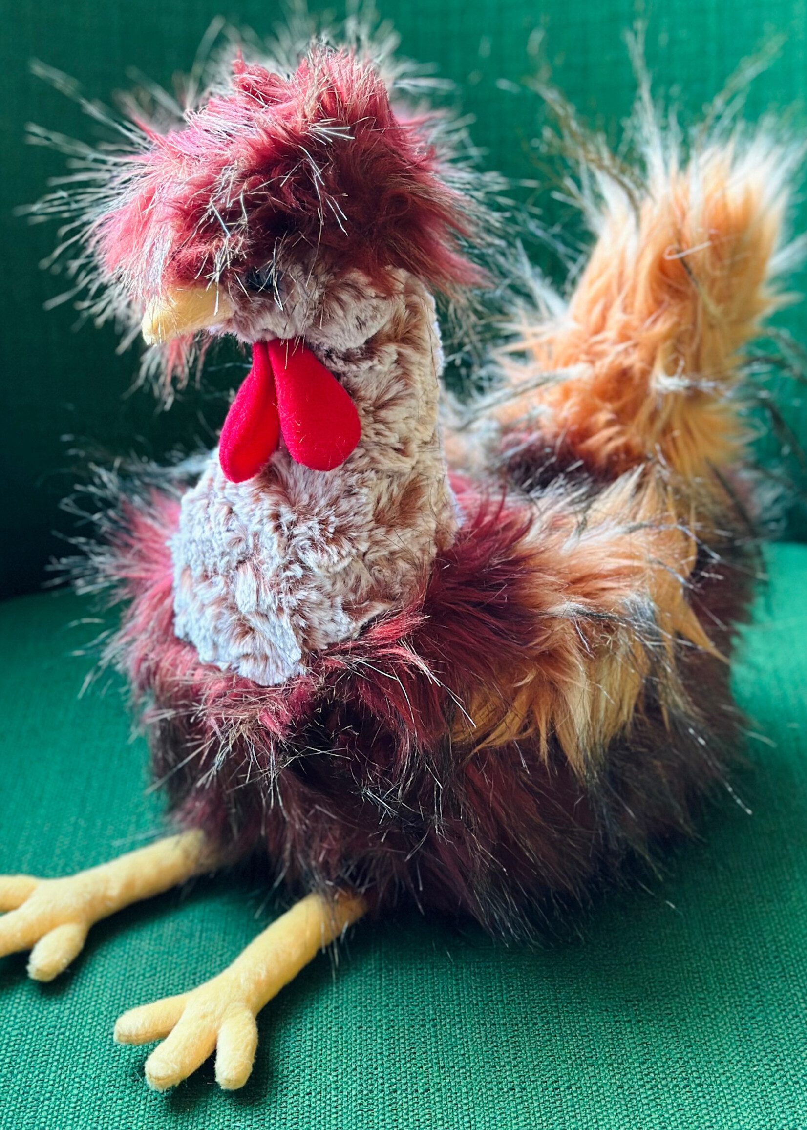 Douglas Stuffy - Ricardo Rooster