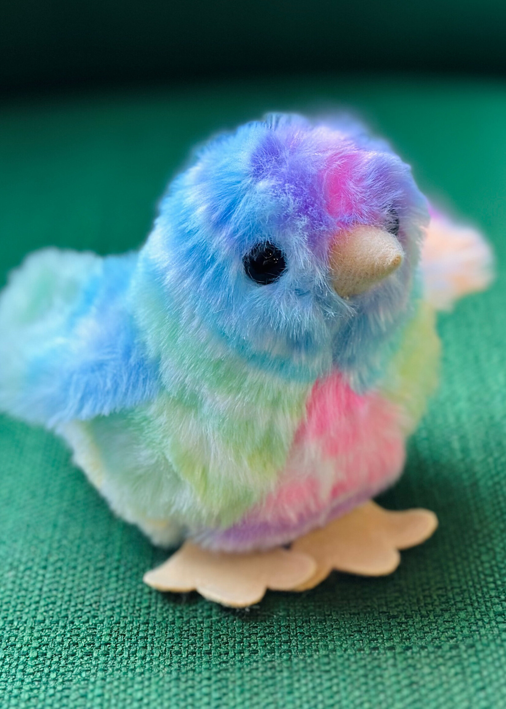 Douglas Stuffy - Rainbow Chick