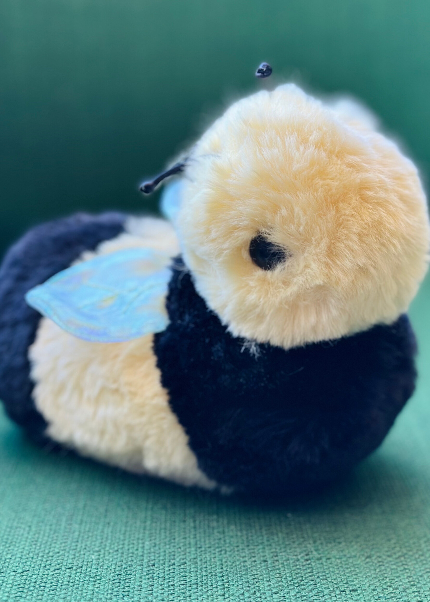 Douglas Stuffy - Chive Bee
