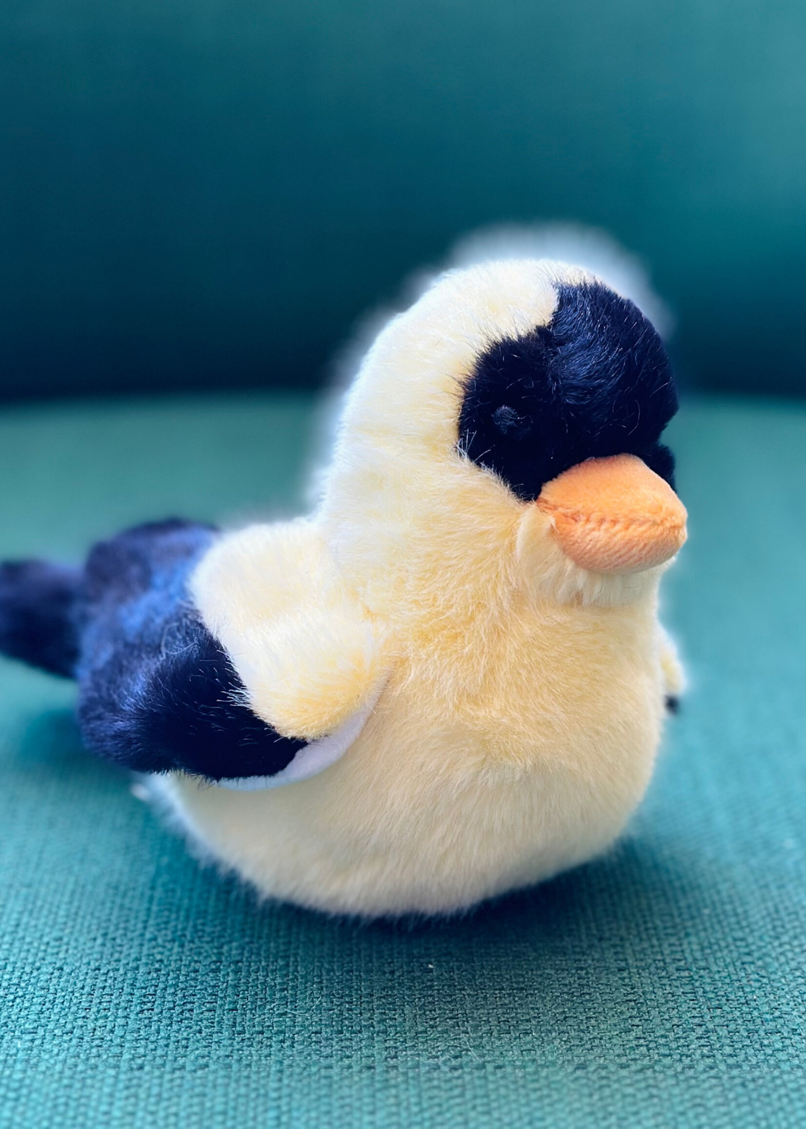 Douglas Stuffy - Faye Yellow Finch
