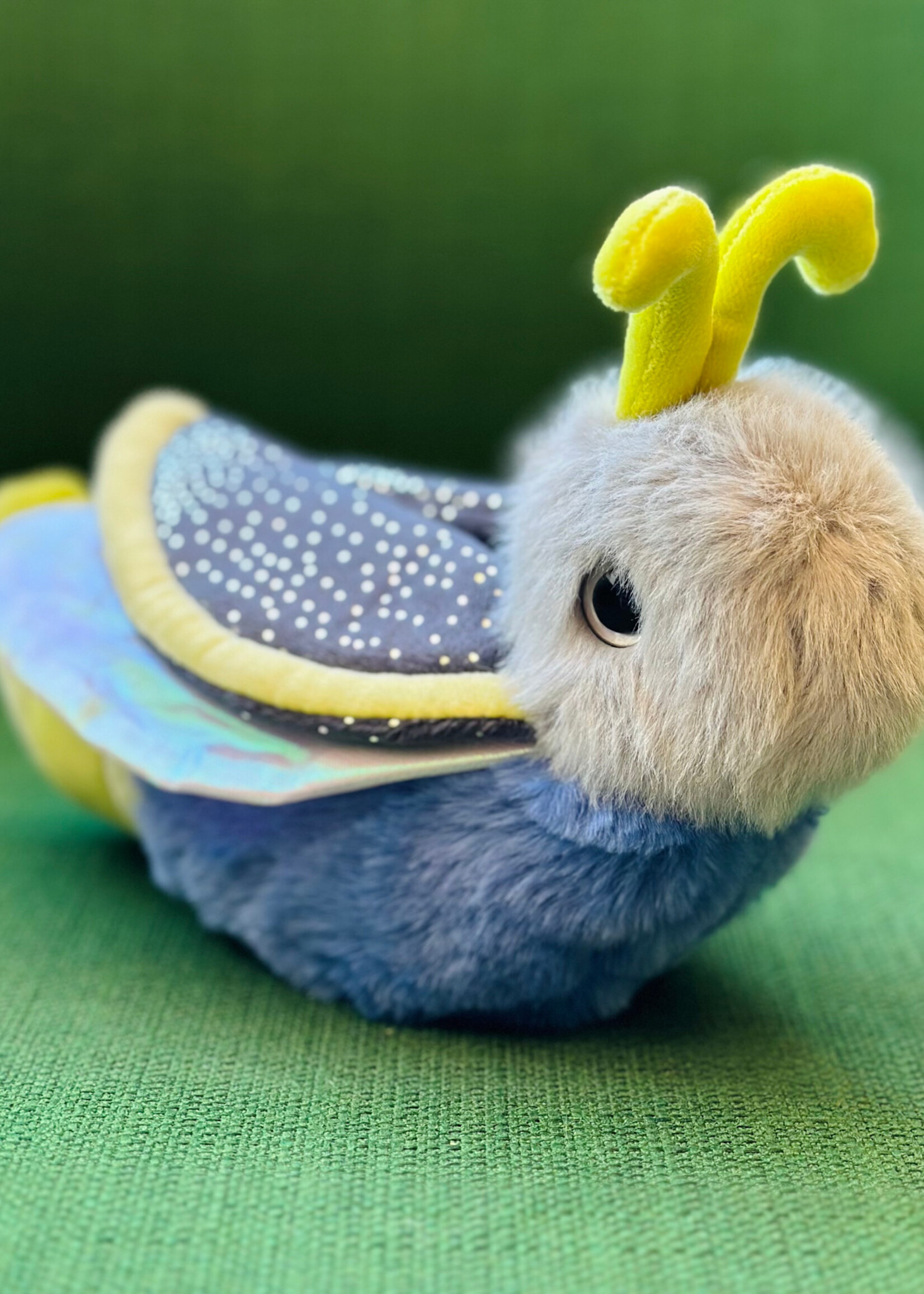 Douglas Stuffy - Flint Firefly