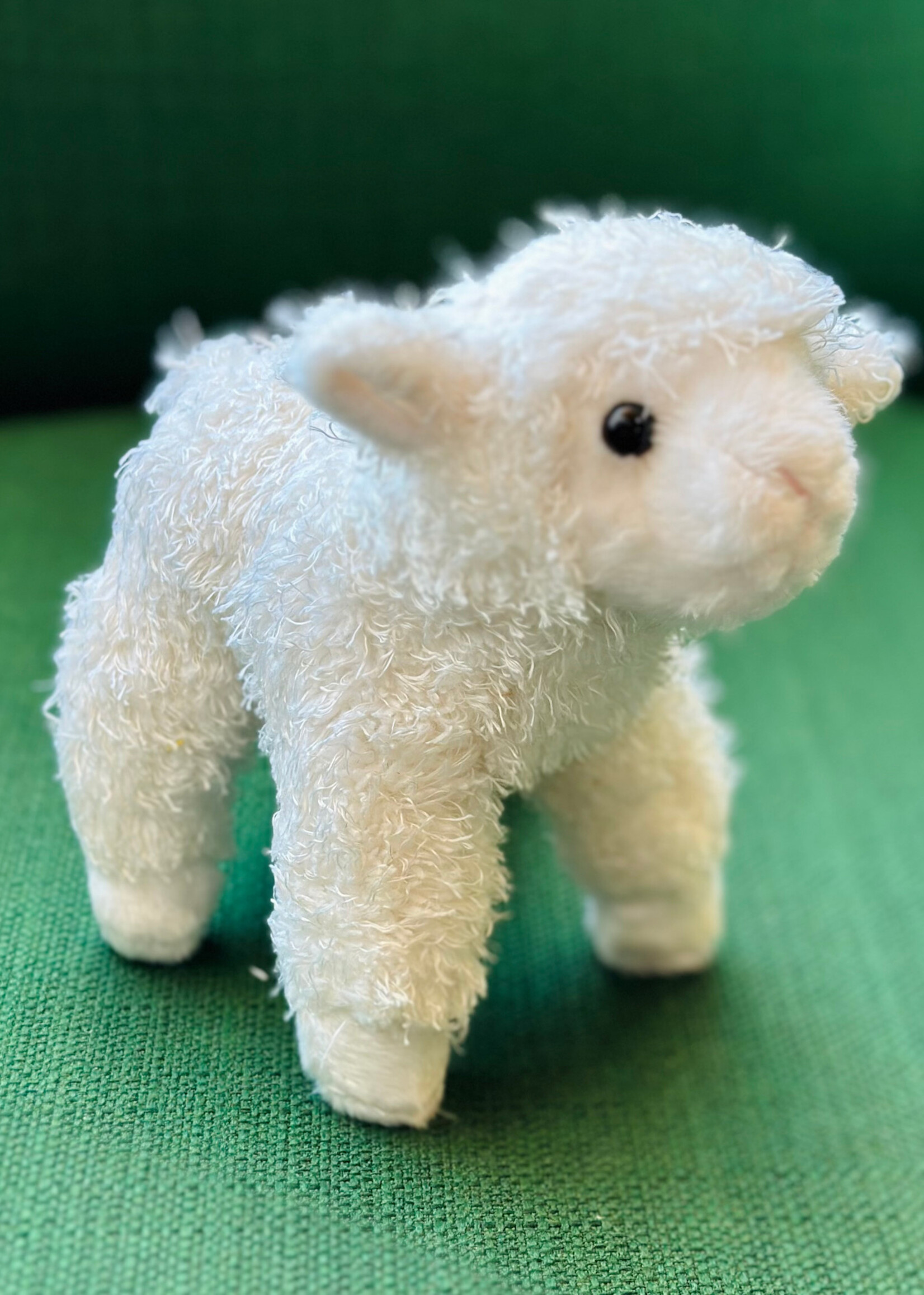 Douglas Stuffy - Little Bit Lamb