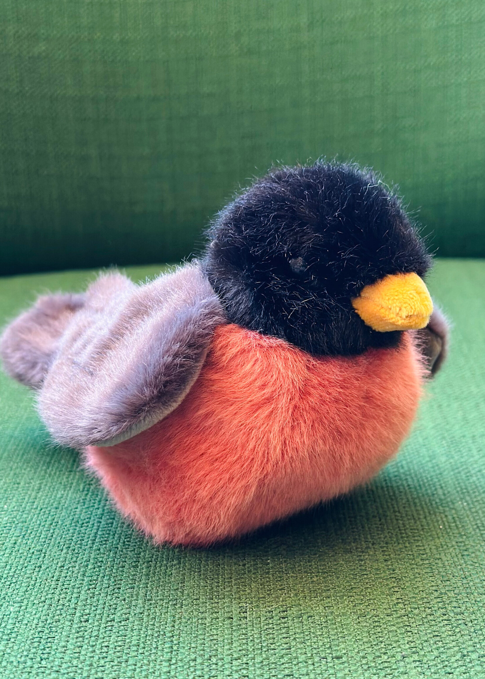 Douglas Stuffy - Melody Robin