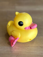 Toysmith Wind-Up Toy Duck