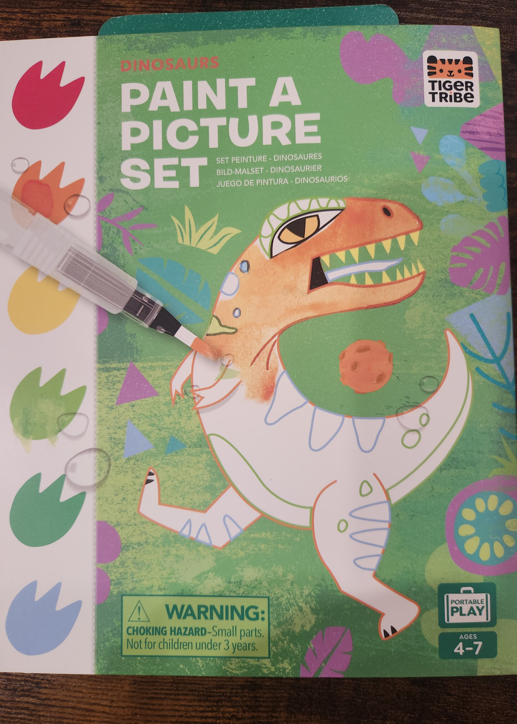 Tiger Tribe Paint a Picture Set-Dinosaurs